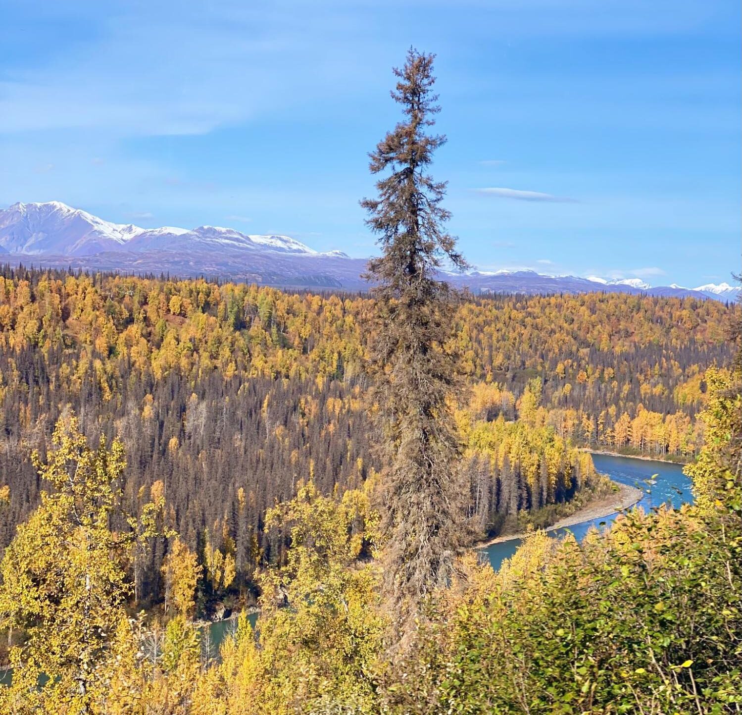 Alaska Landscape