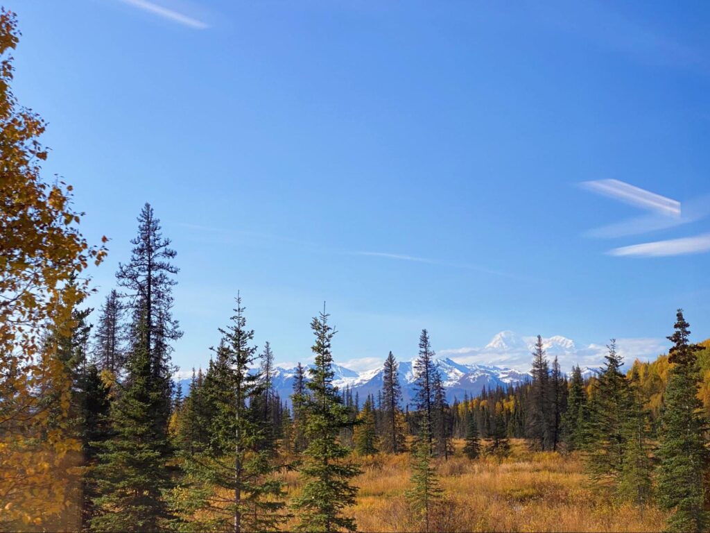 View of Mount Denali