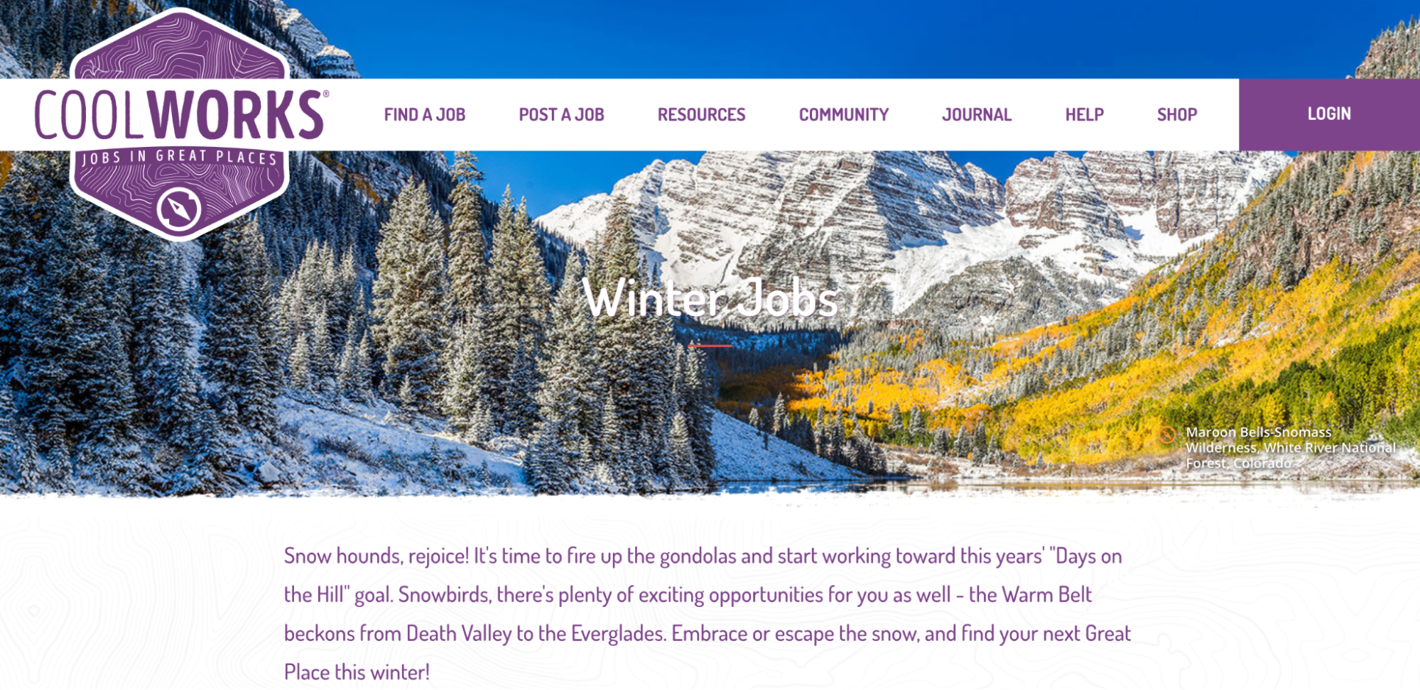 how to apply for a ski season using coolworks website