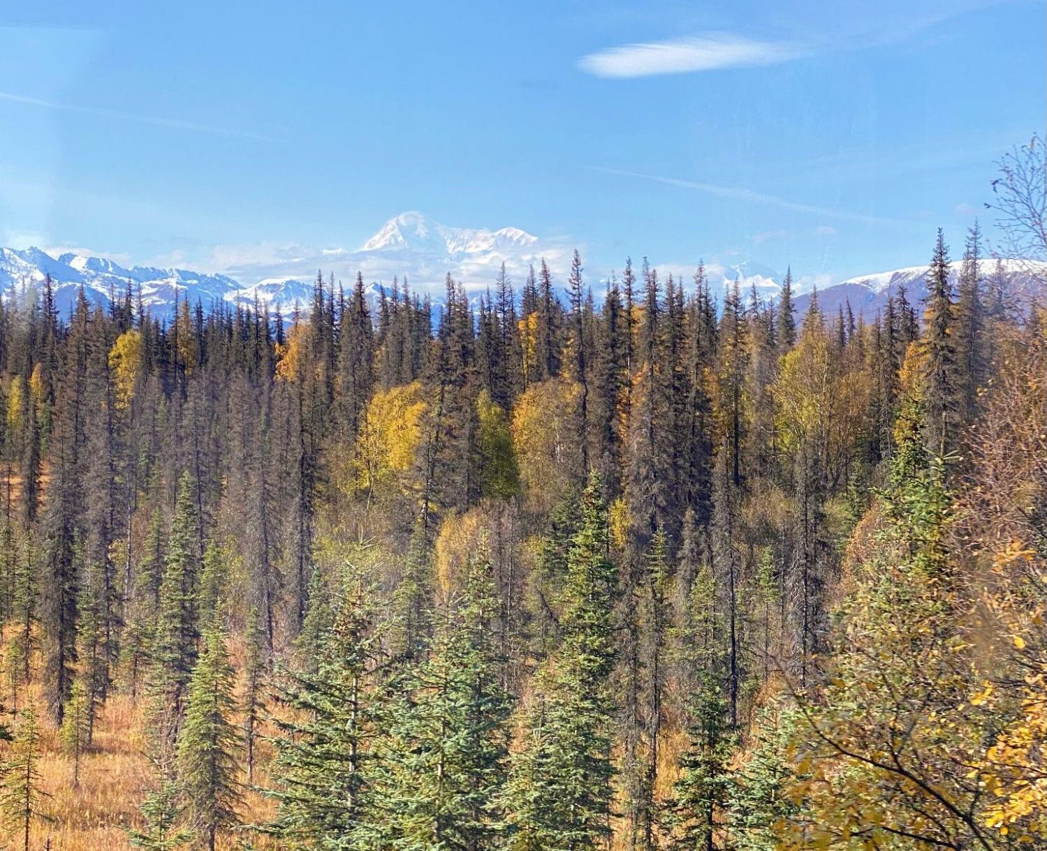 Mount Denali