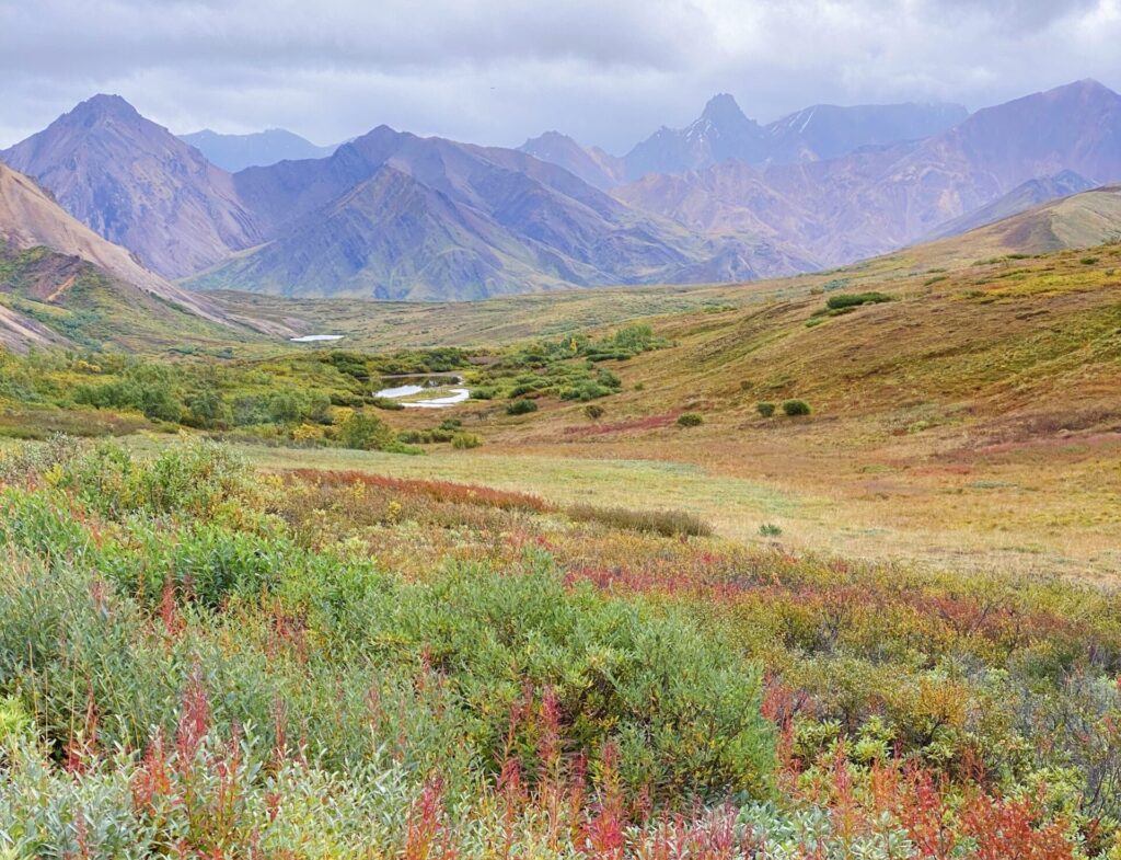 Denali National Park and Preserve