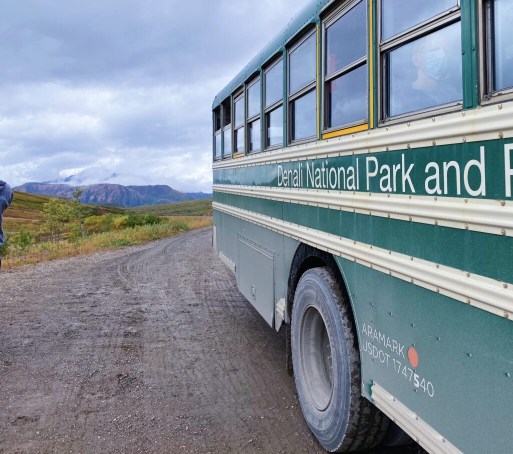 Denali National Park Bus Tours