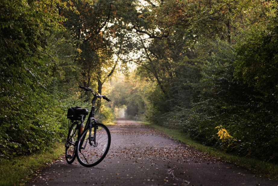 bike ride in the park, things to do in florence italy for free