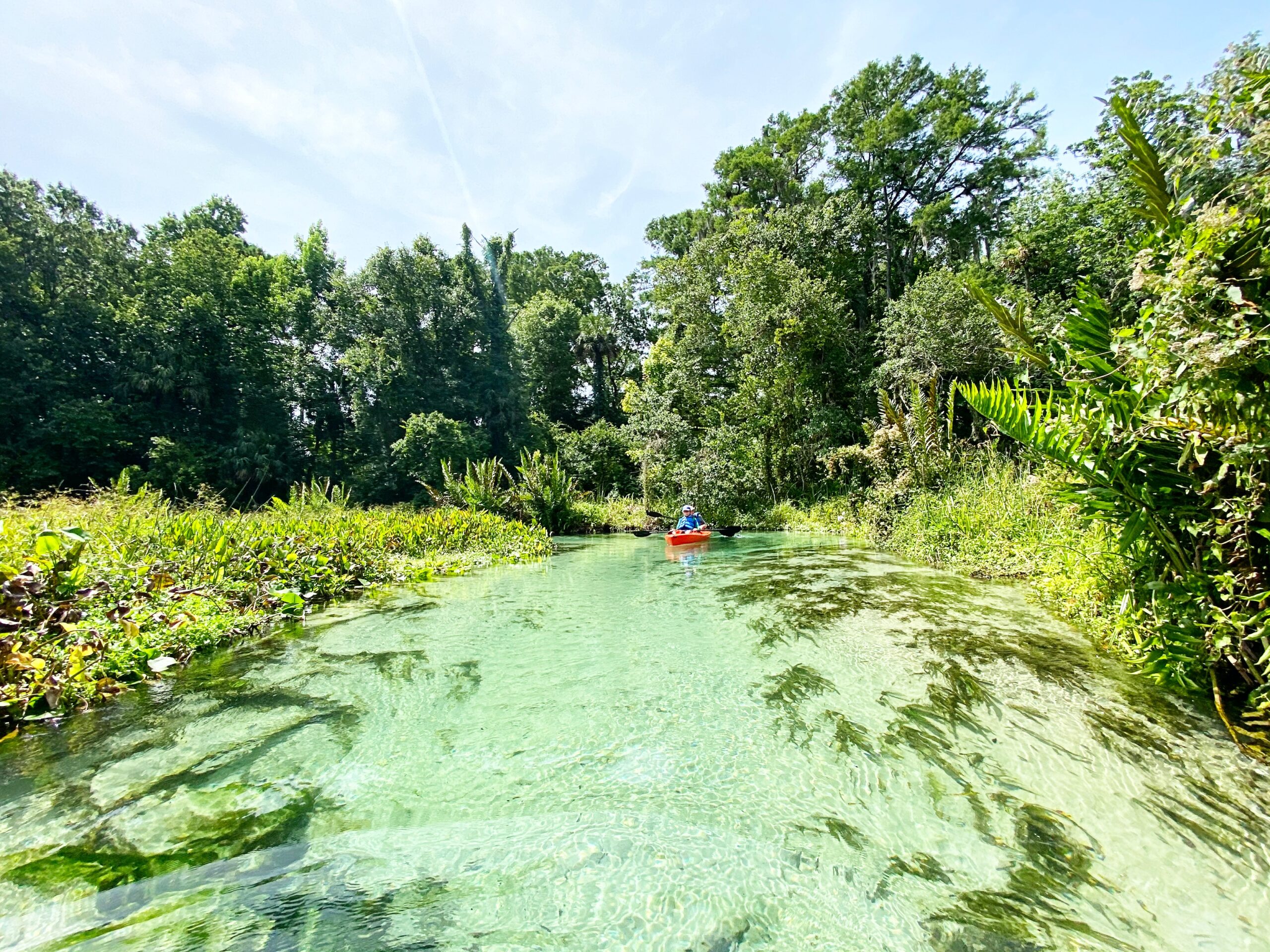 day trips from orlando, kelly rock springs