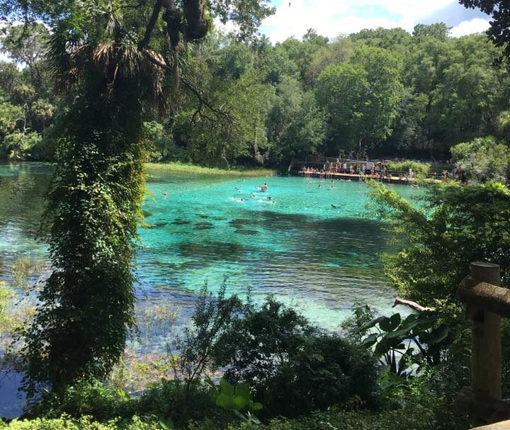 day trips from orlando, rainbow river