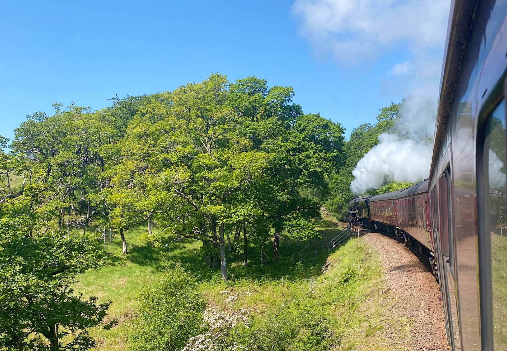 Harry Potter Train