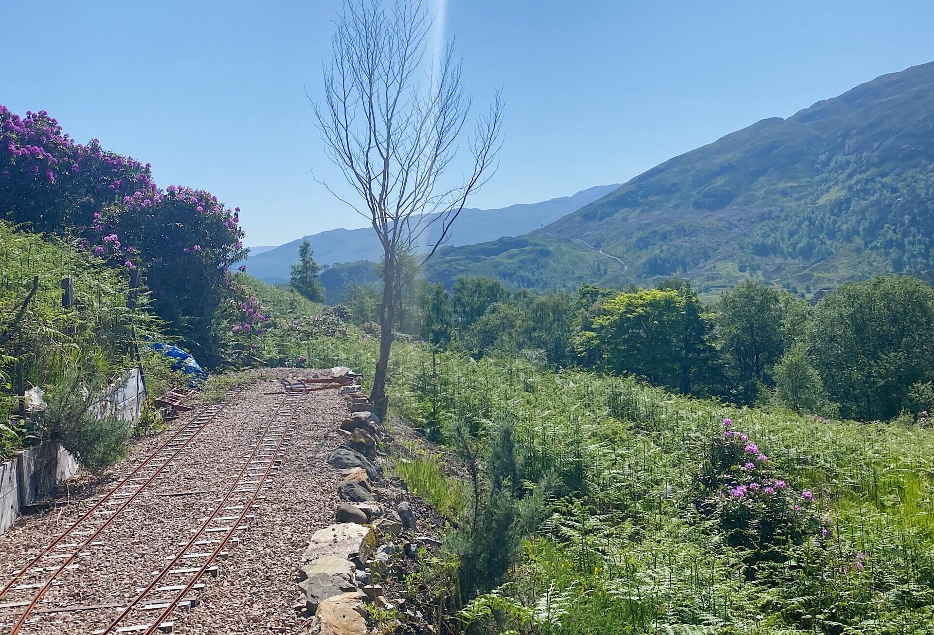 views from the Harry Potter Train in Scotland