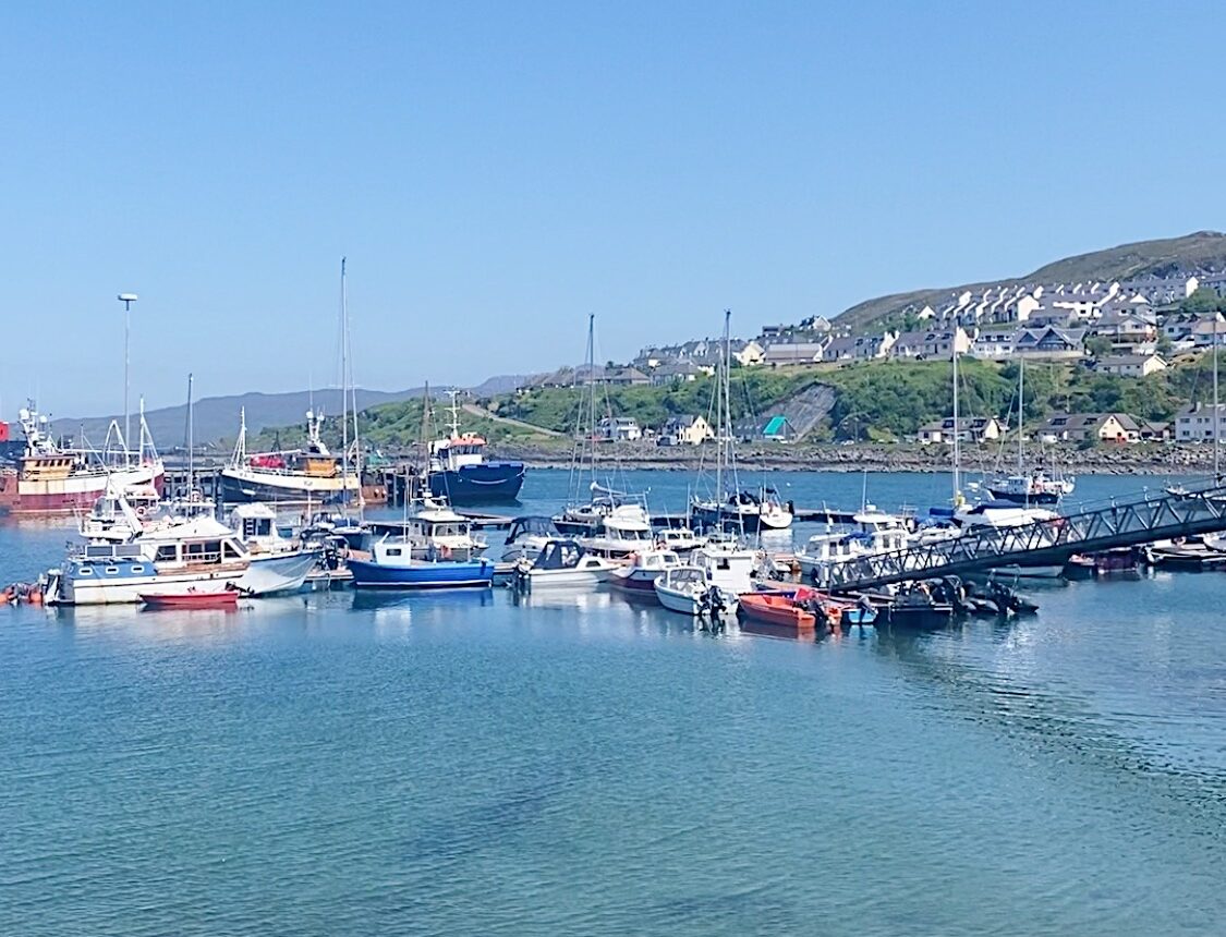 Mallaig Stop on the train