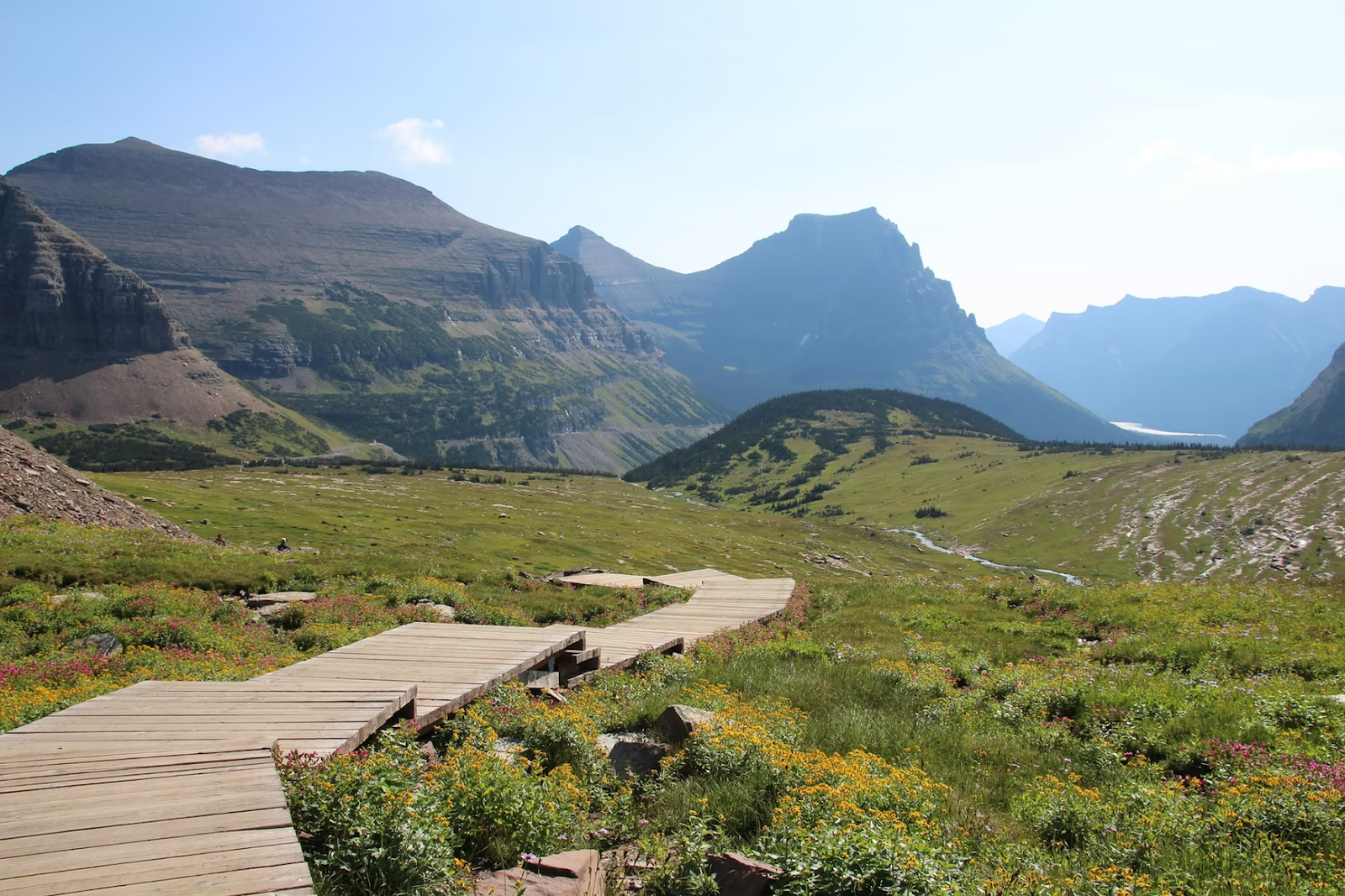 glacier national park in the summer