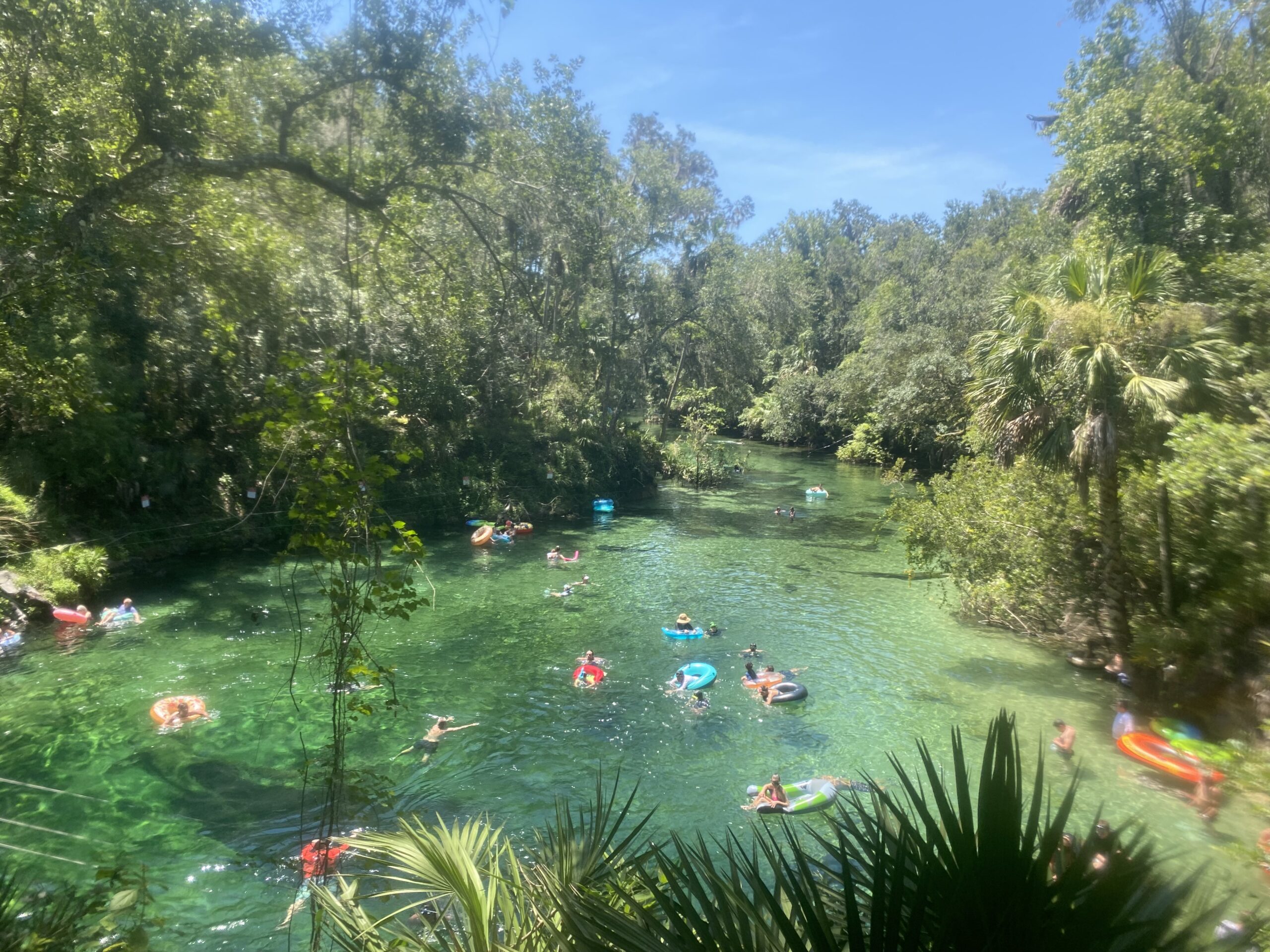 blue spring state park, florida spring, tubing in a spring