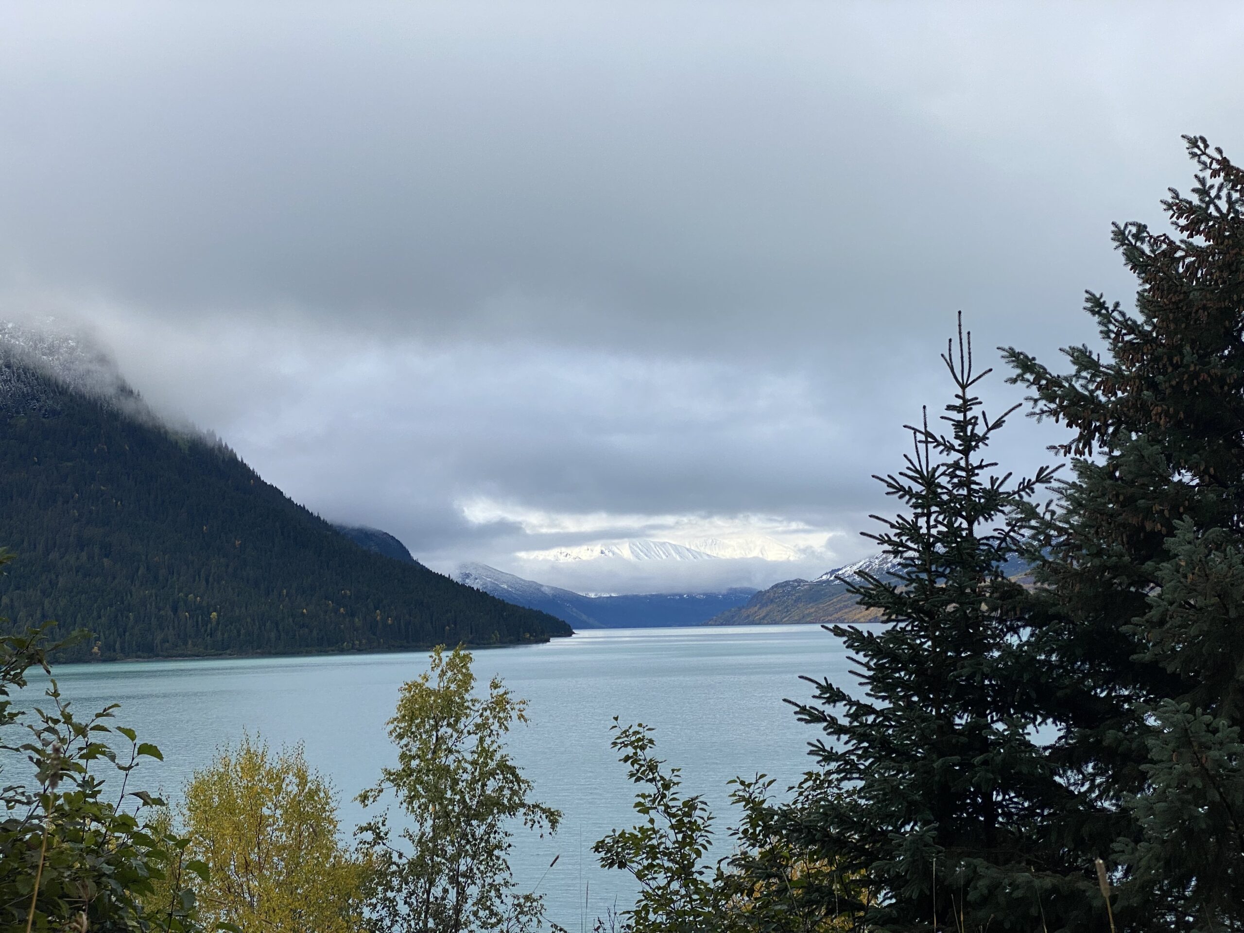 things to do in seward alaska