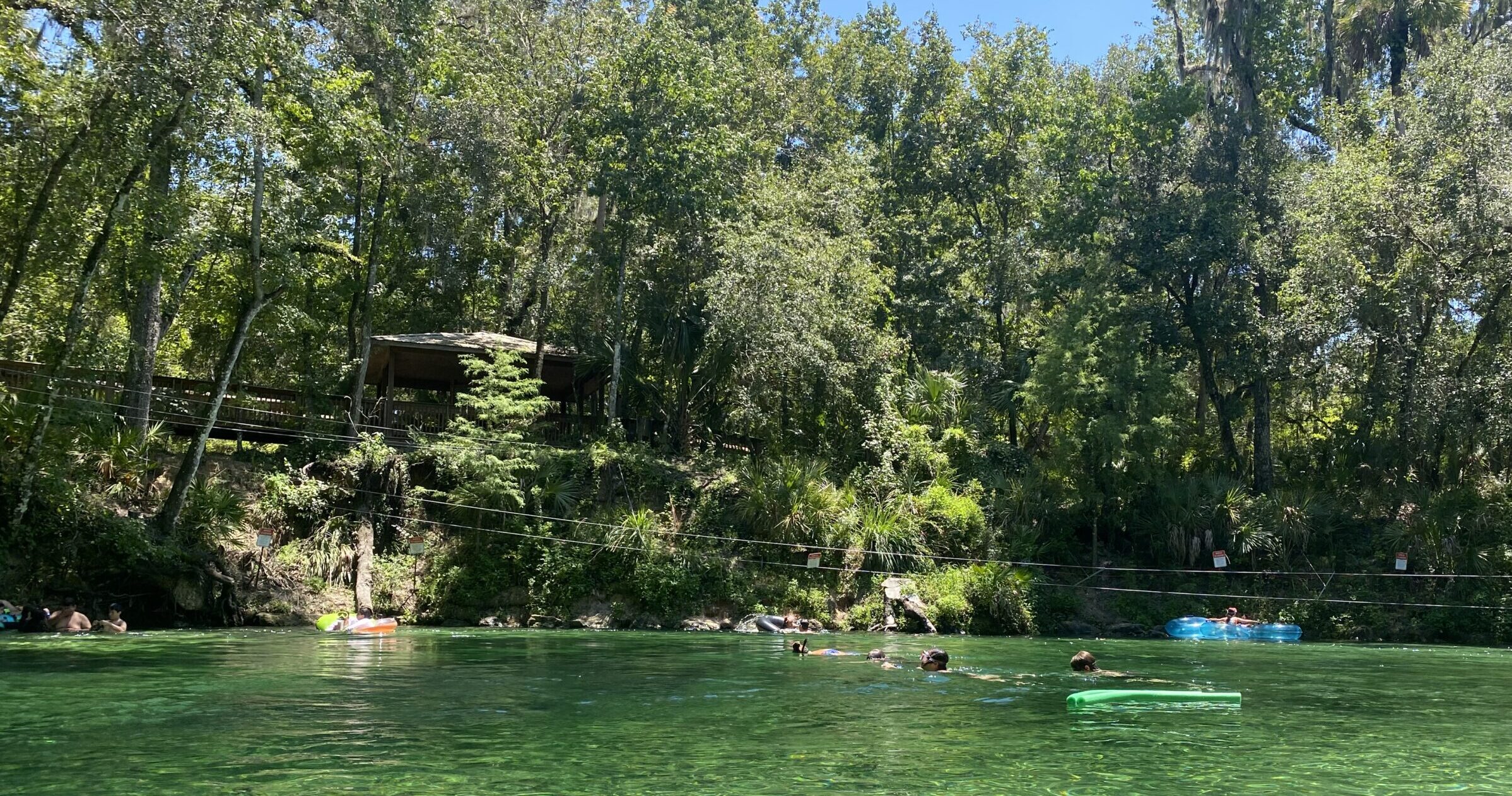 swimming in blue spring state park. people relaxed, clear water