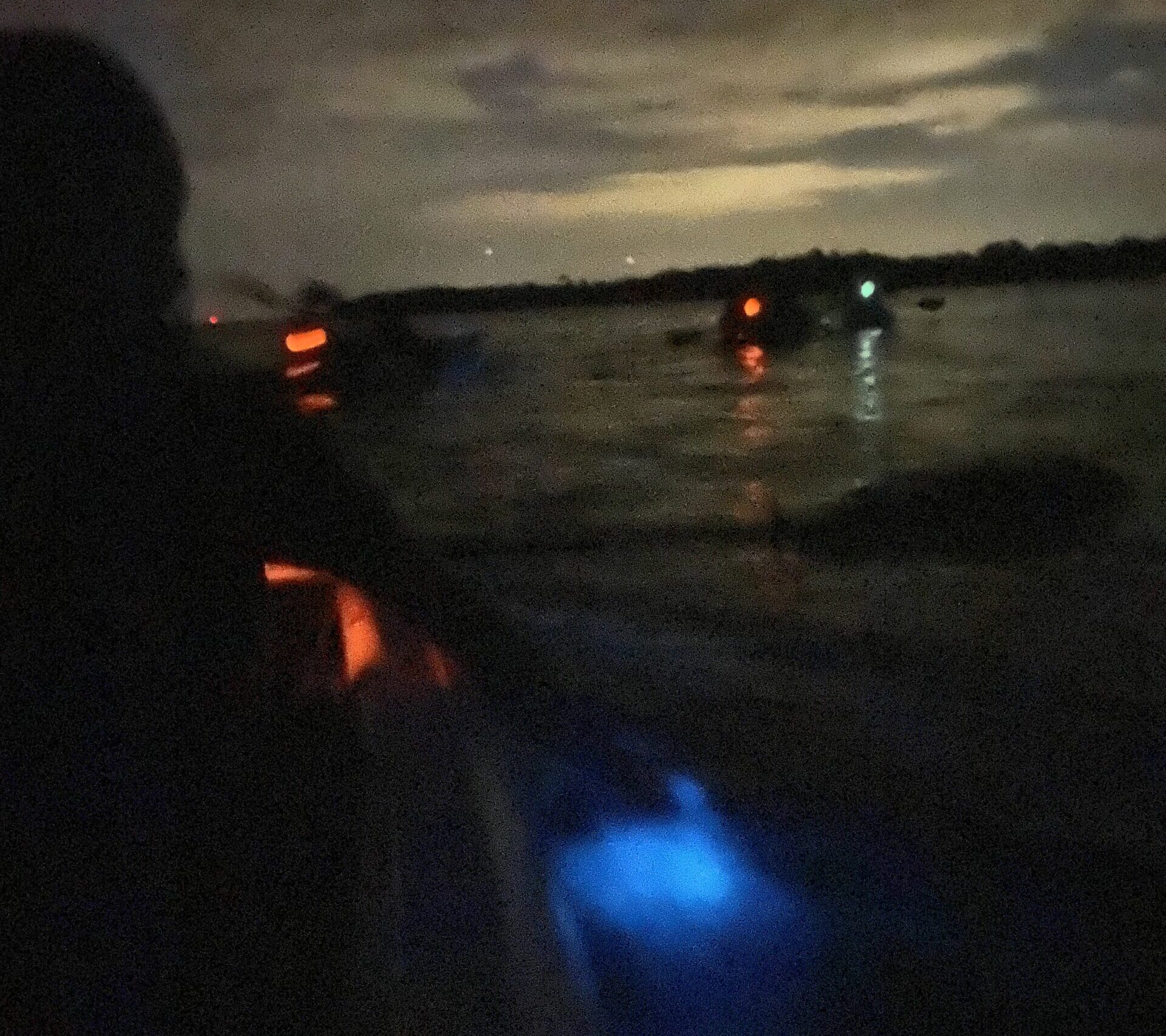 Bioluminescent Kayaking in central florida