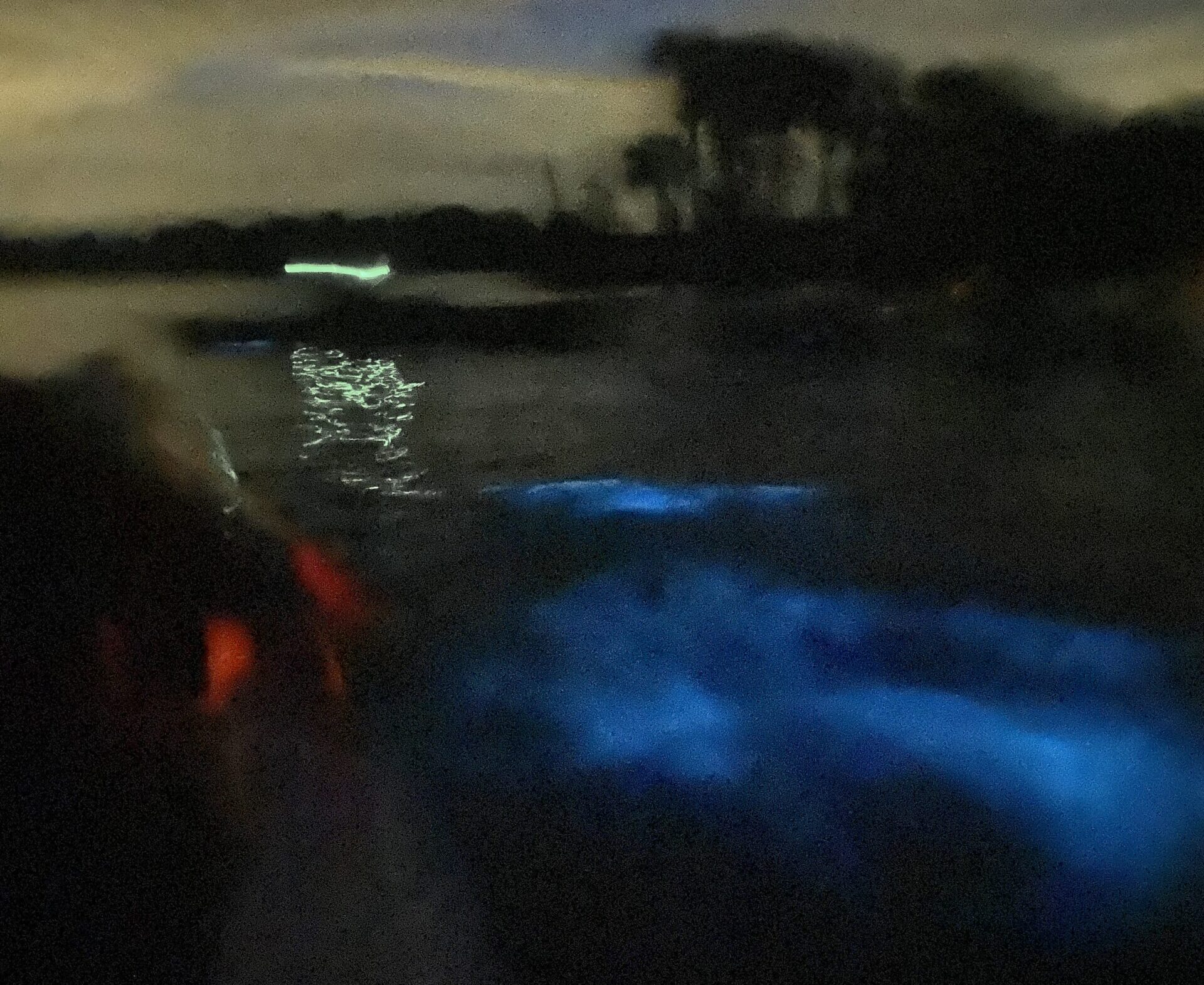 Bioluminescent Kayaking 