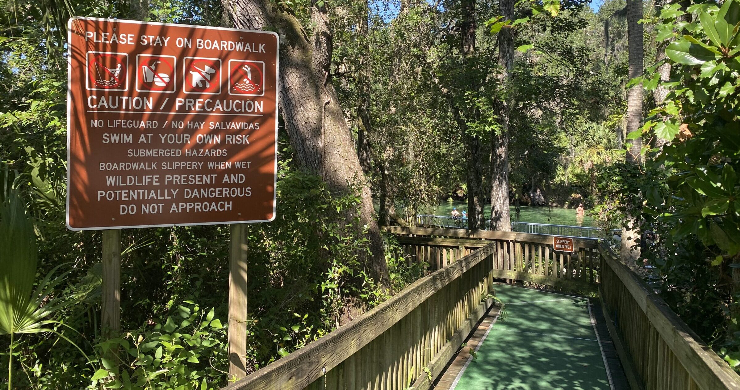 wooded hiking trail inside of blue spring state park