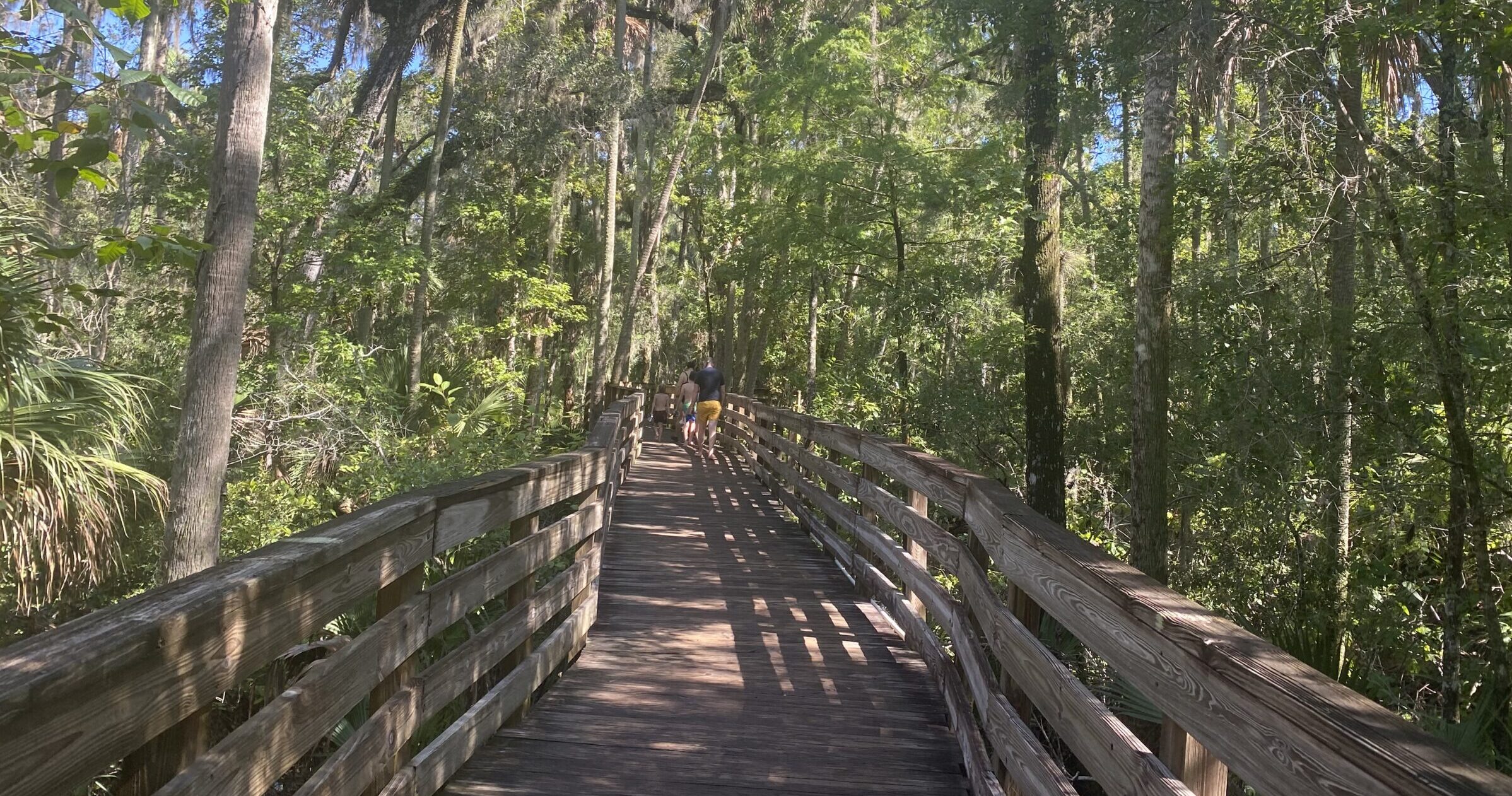 hiking trail, florida state park, wooded trail