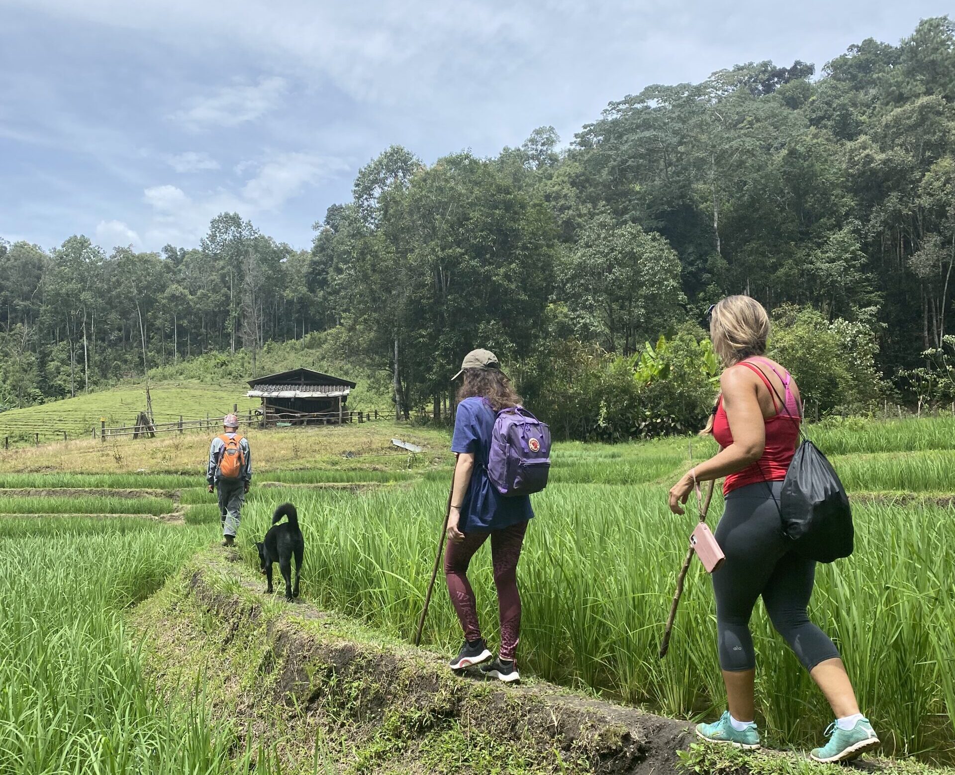 hiking in the northern hill tribes in Chiang Mai - best day trips from Chiang Mai