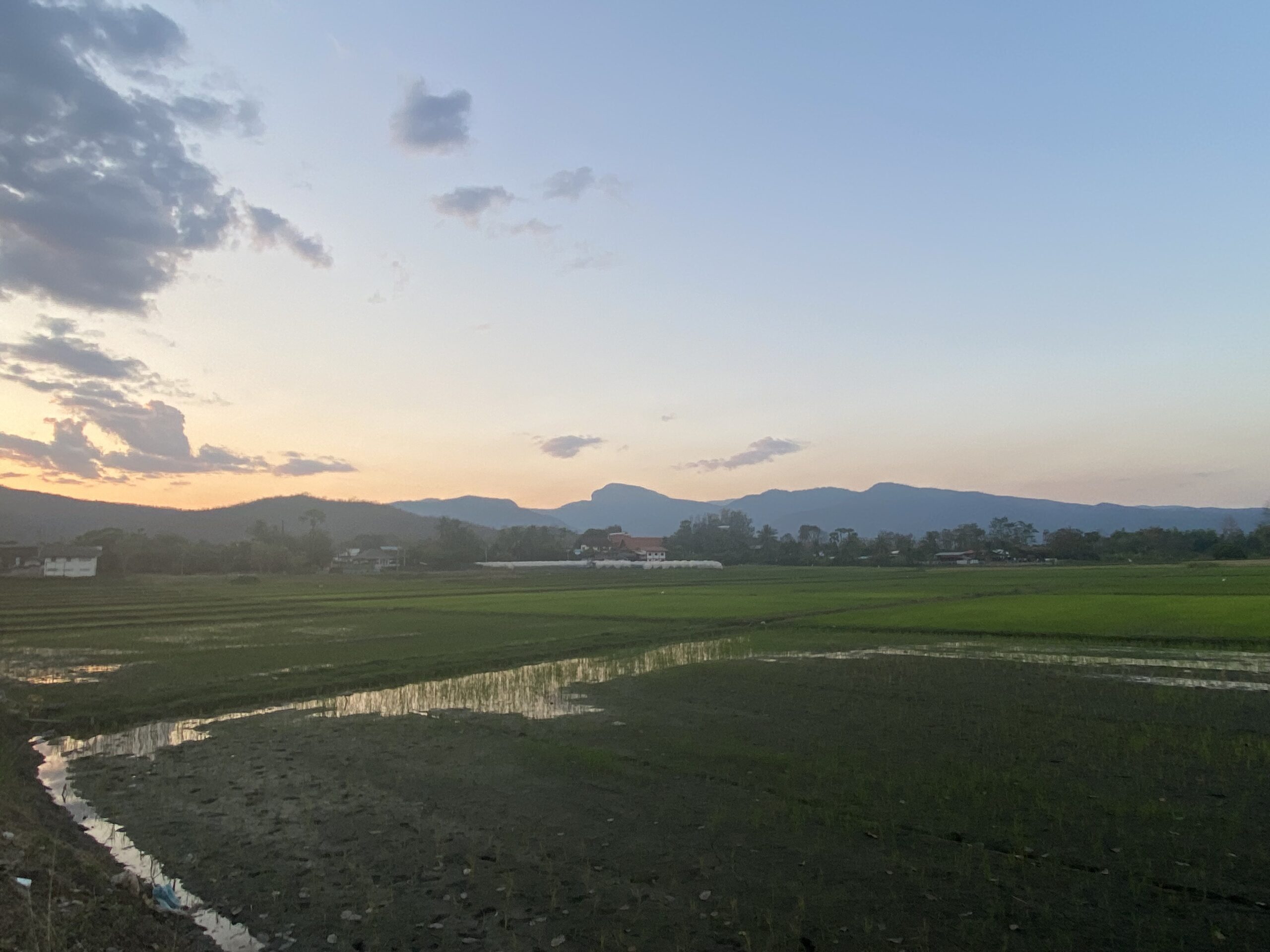 northern thailand rice fields and mountains