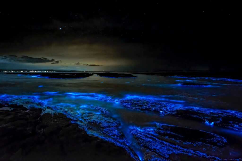 neon blue water in the ocean at the beach