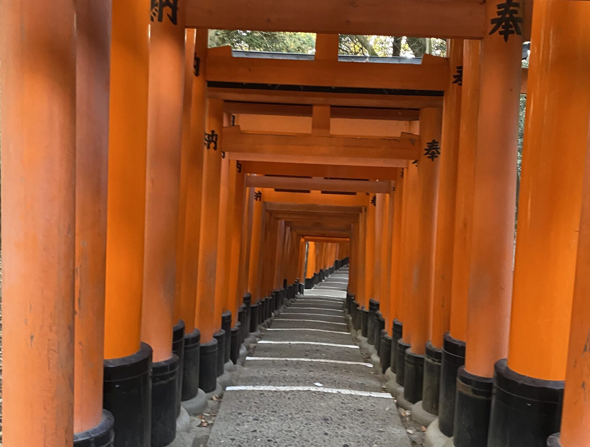 red torri gates in kyoto japan - Kyoto 1 day itinerary