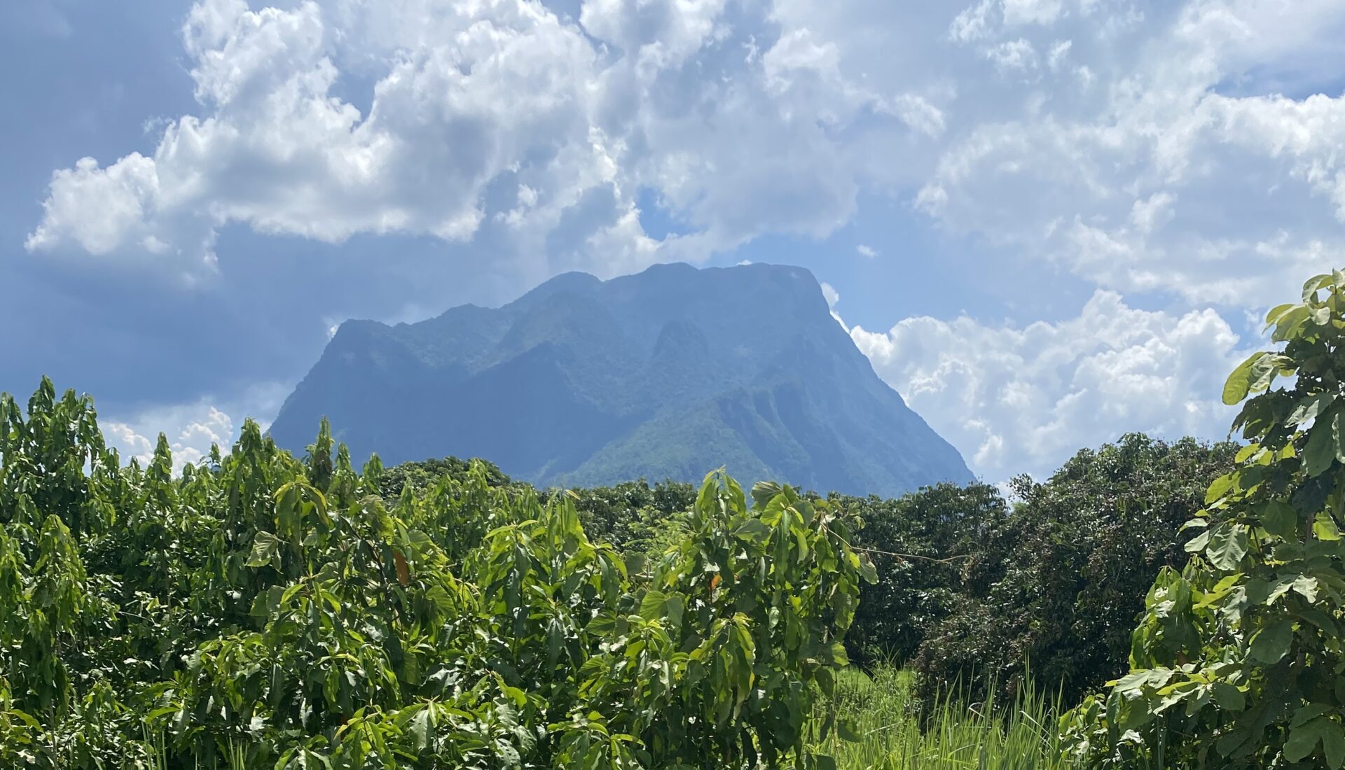 Doi Luang Chiang Dao Mountain - Chiang Dao Thailand