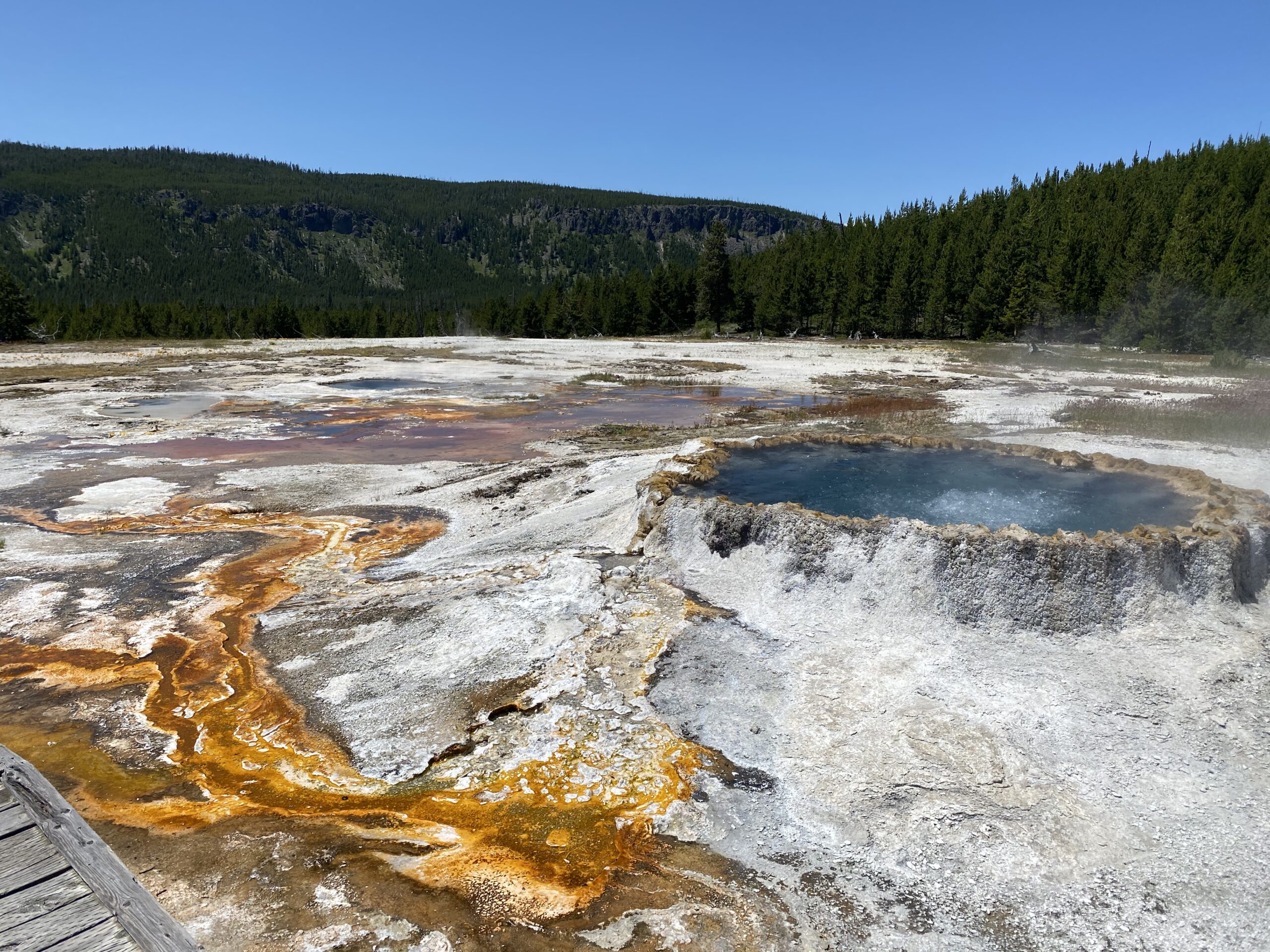 yellowstone to glacier national park - yellowstone hot spring