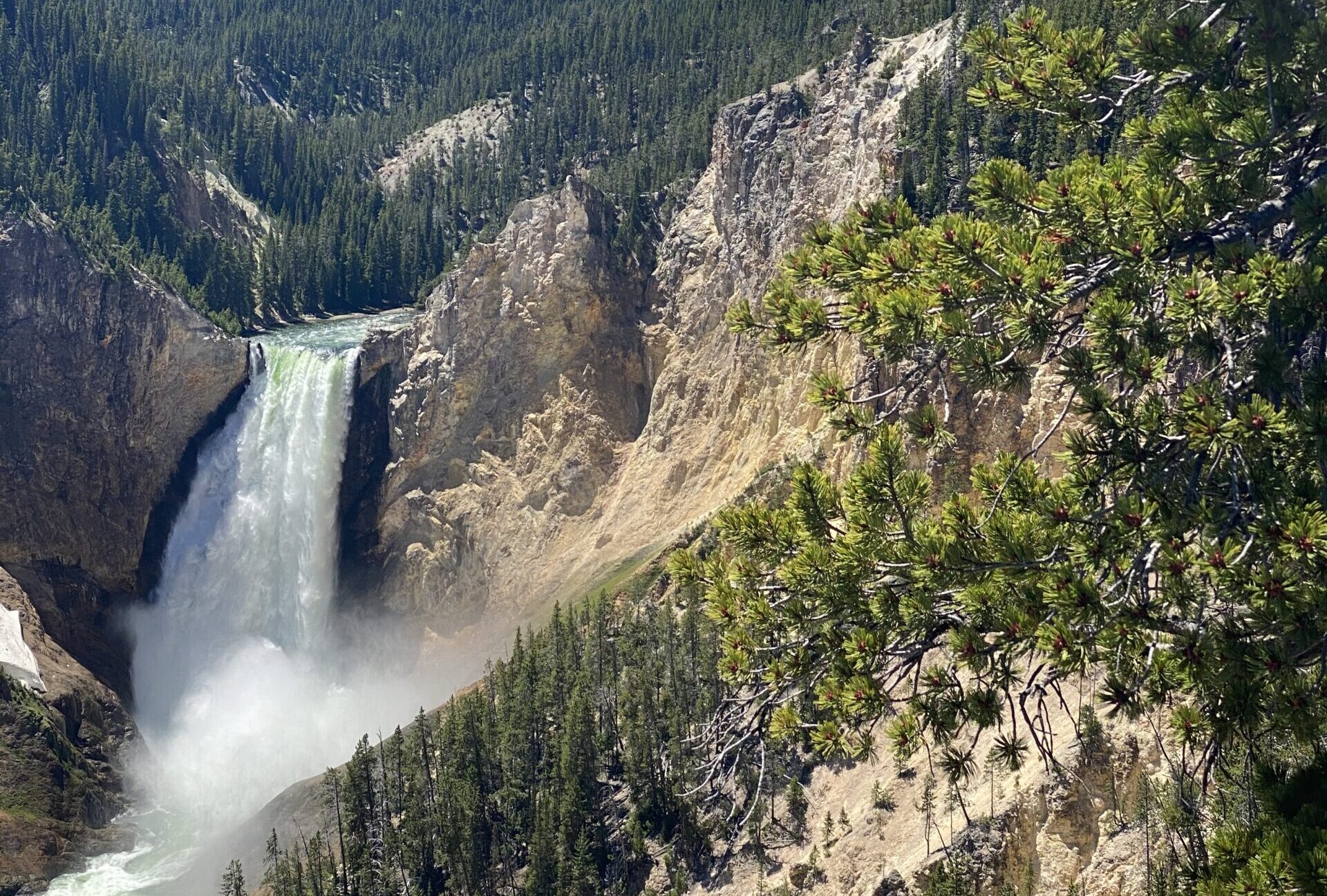 yellowstone national park lower falls waterfall in a canyon