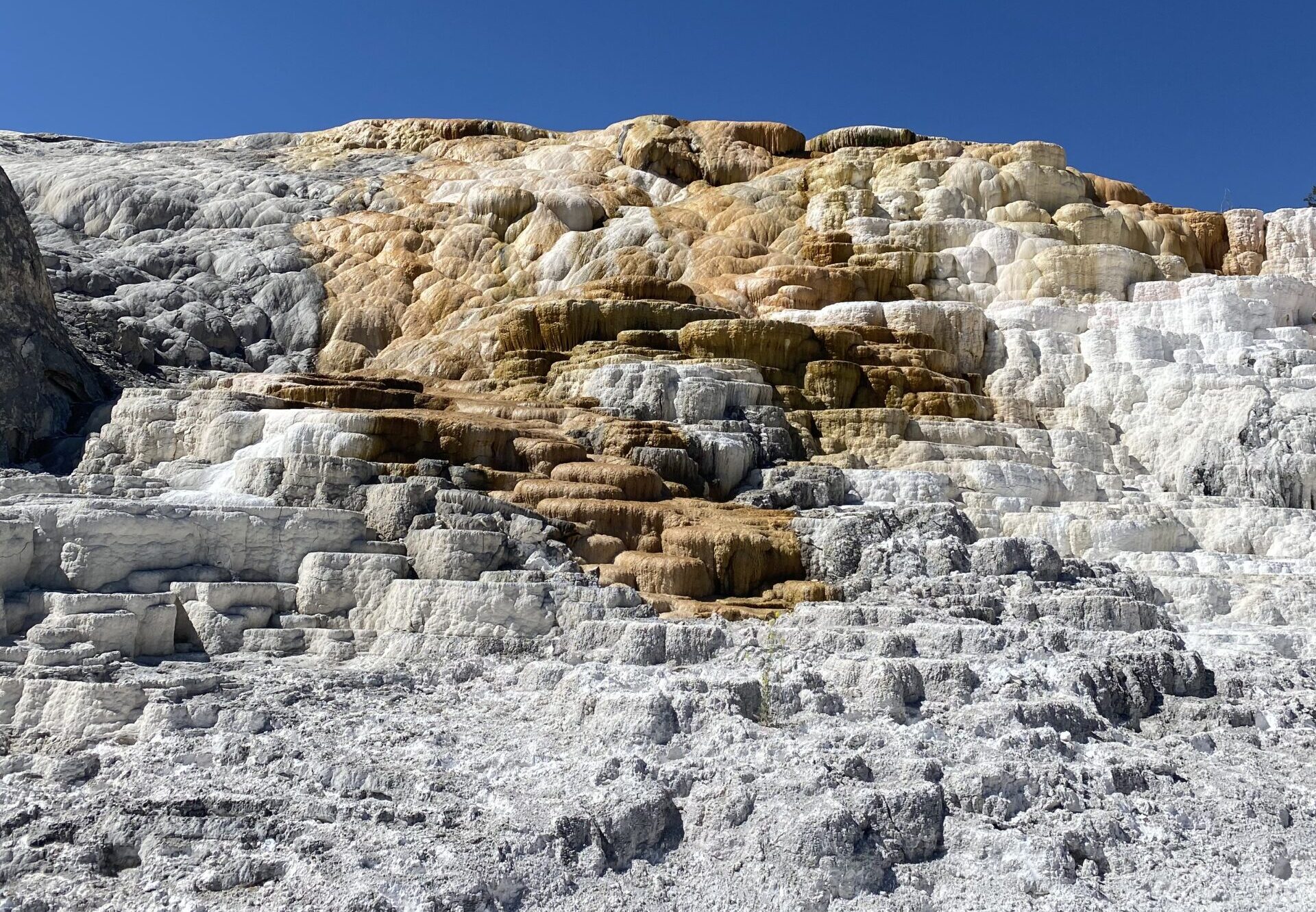 mammoth hot springs - yellowstone national park