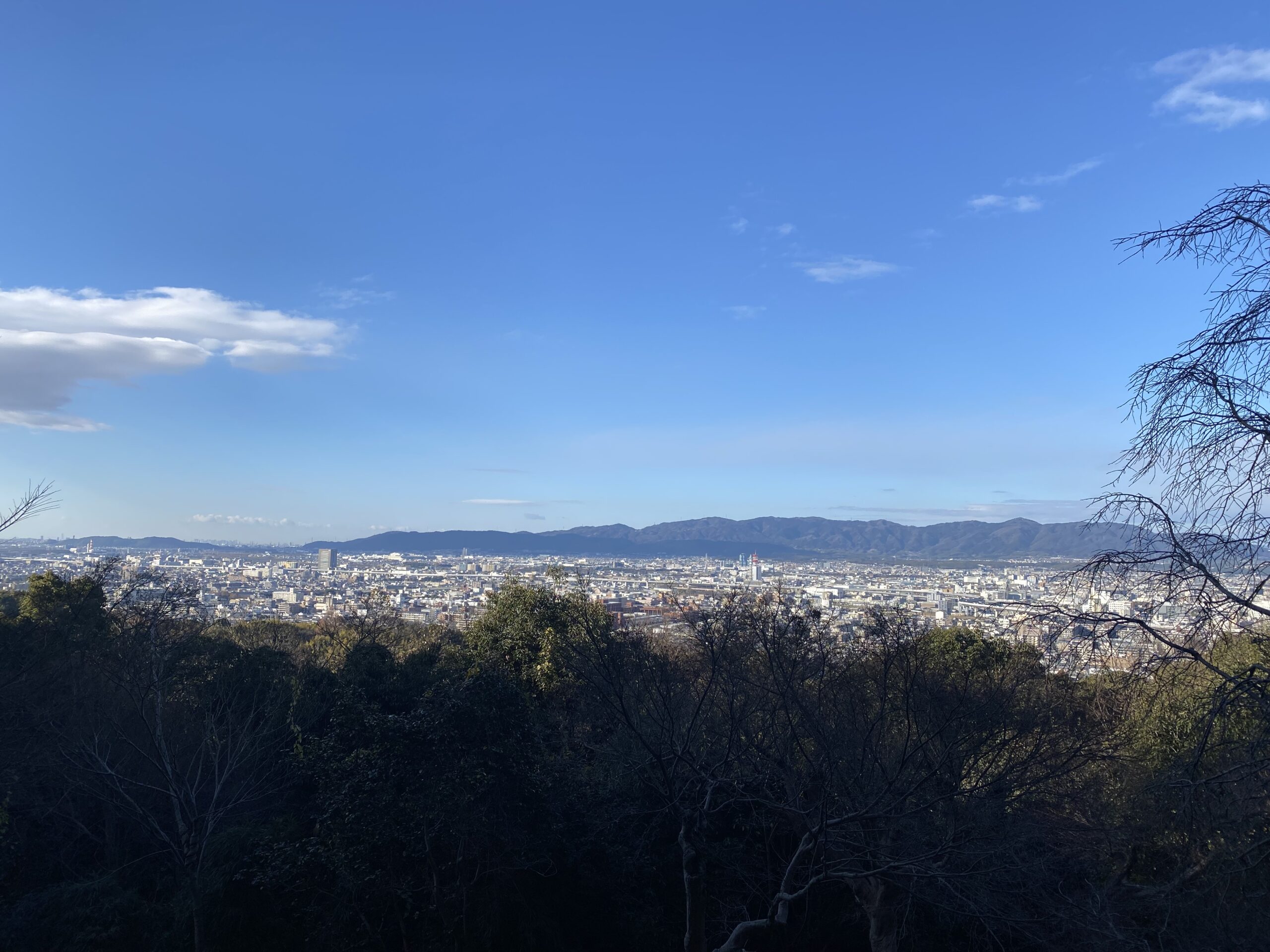 Kyoto city view from Fushimi Inari Taisha -Kyoto 1 day itinerary