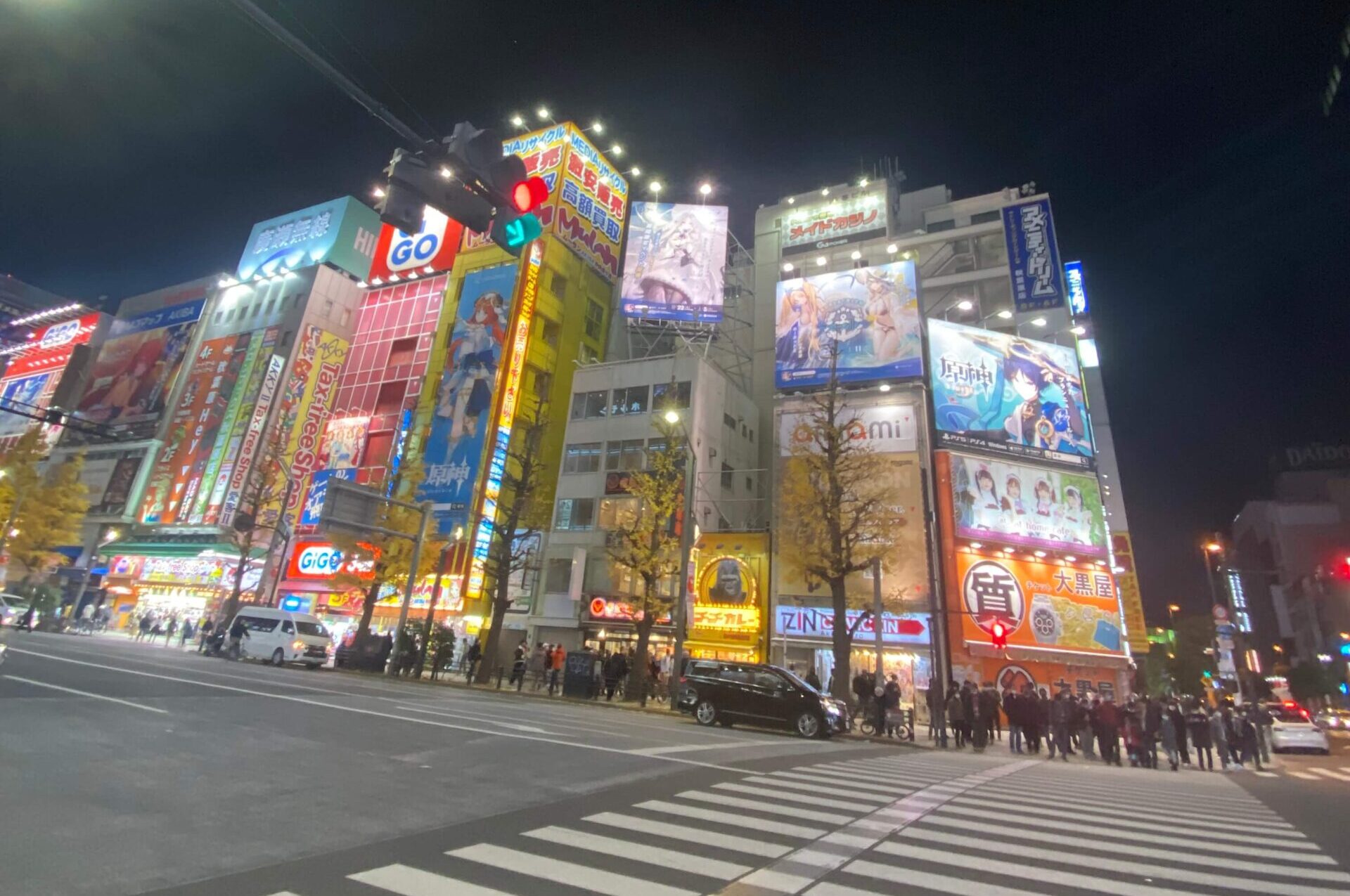 akihabara city lights - tokyo 2 day itinerary