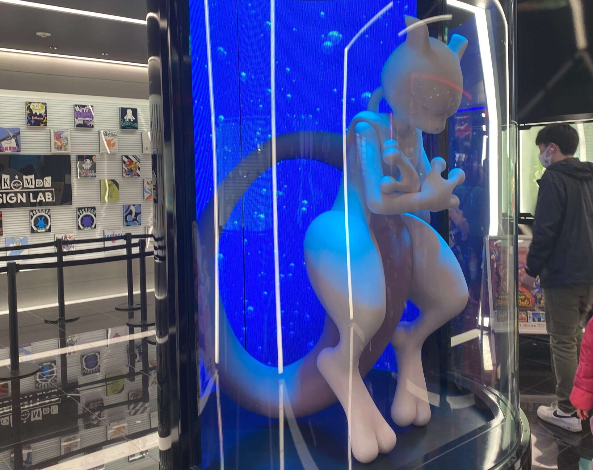 pokemon store display