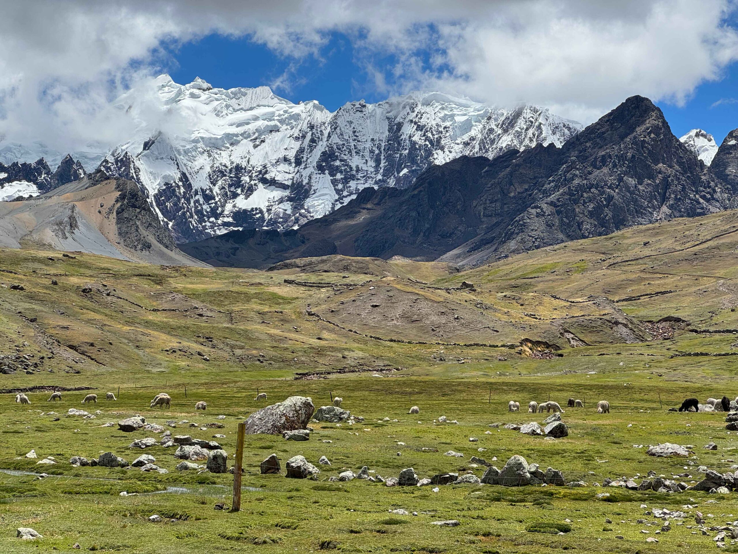 field with green grass and snow capped Andes Mountains at 7 lakes of Ausangate