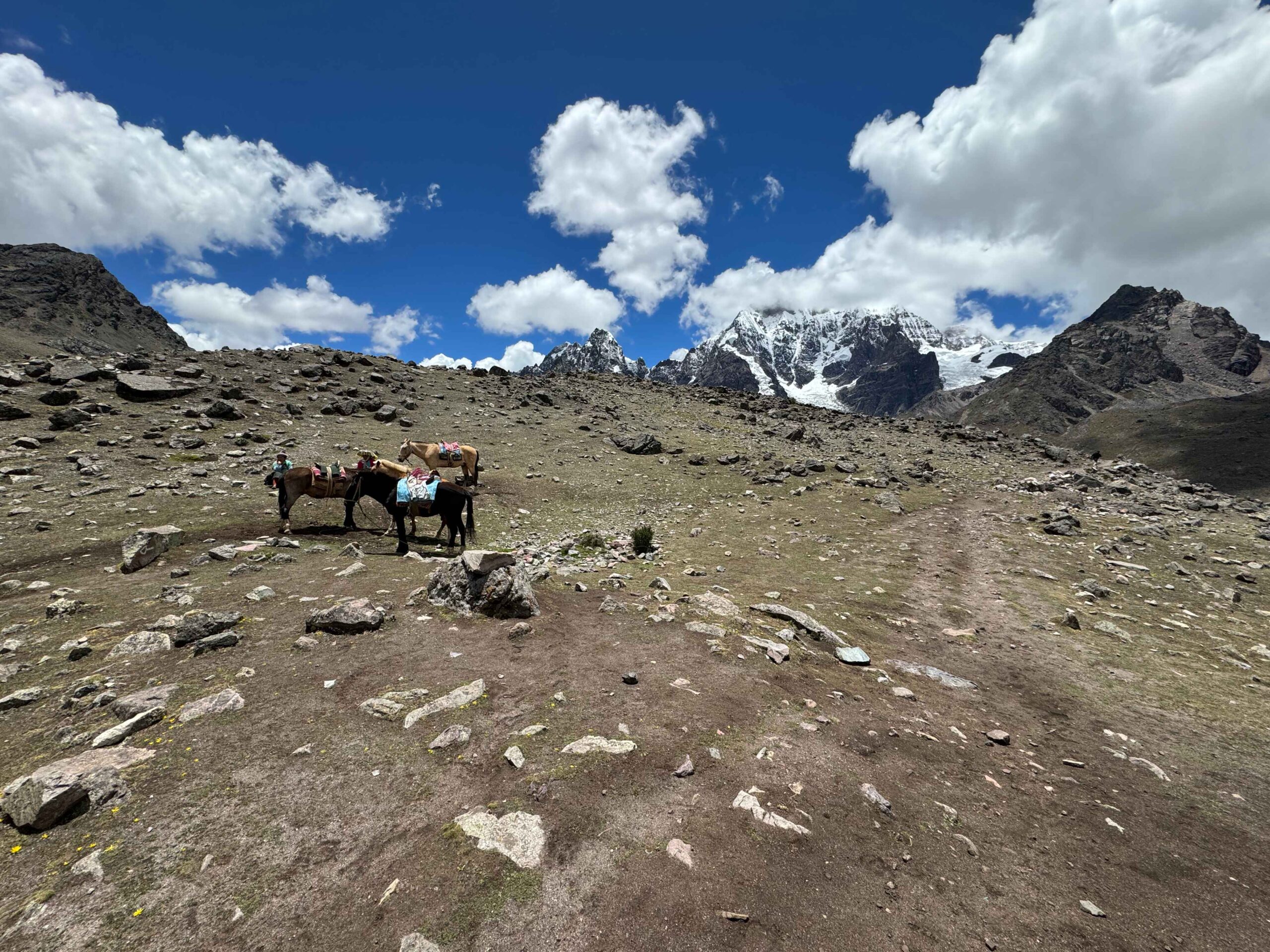 hiking trail in peru with mountains and donkeys