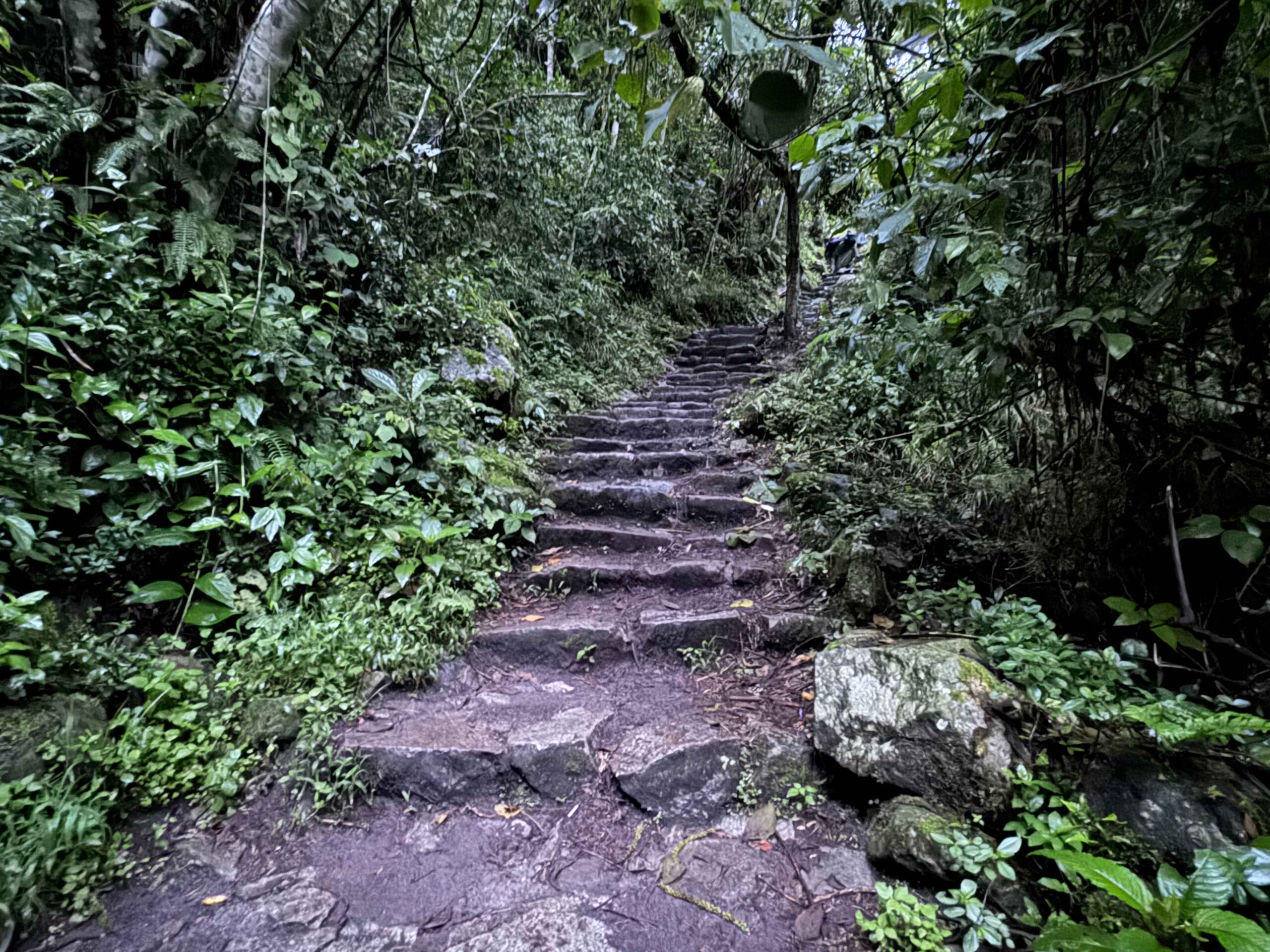 stairs to machu picchu