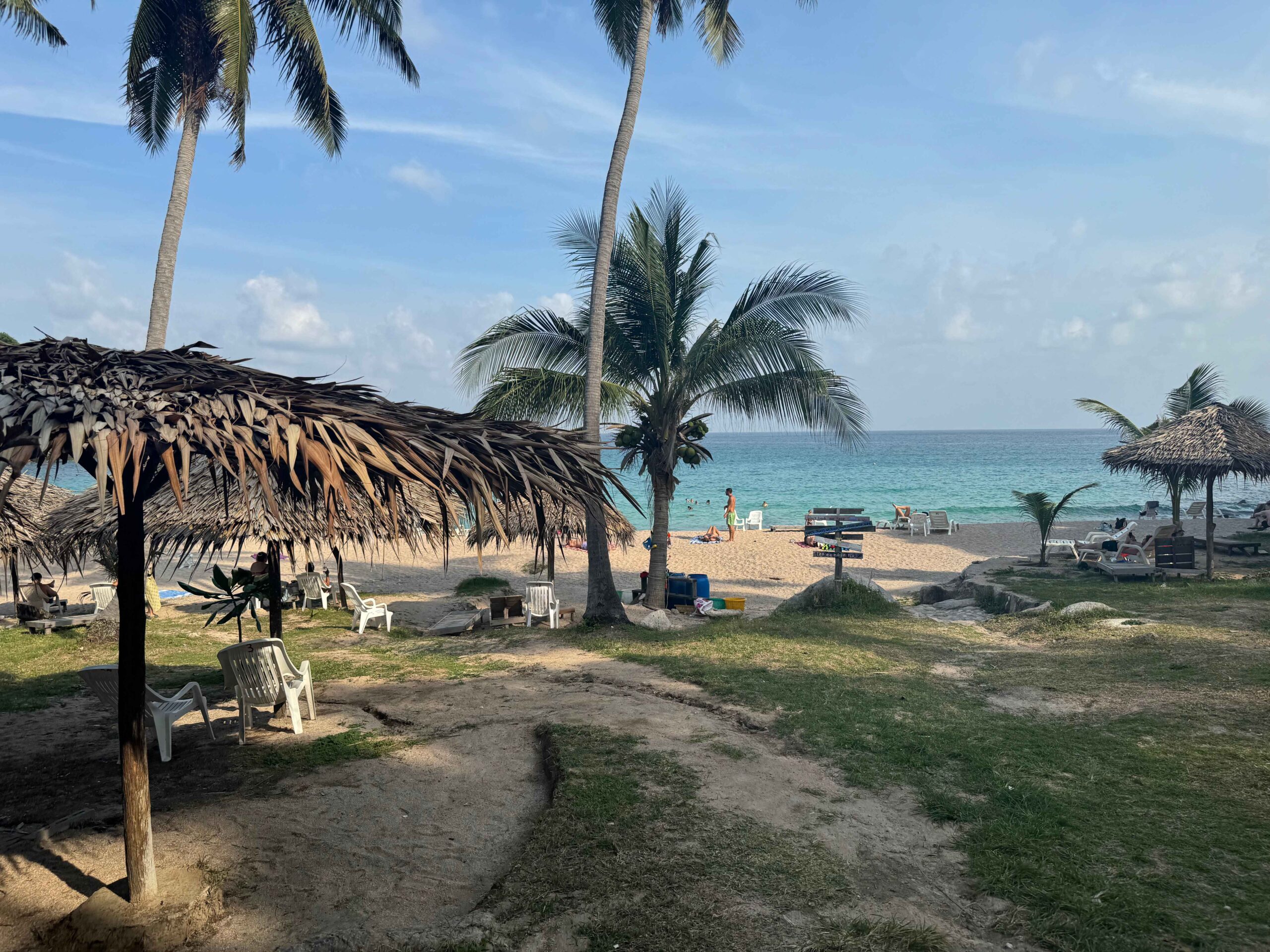 Aow Leuk Beach - best beaches on Koh Tao. Beach lined with palm trees and blue water