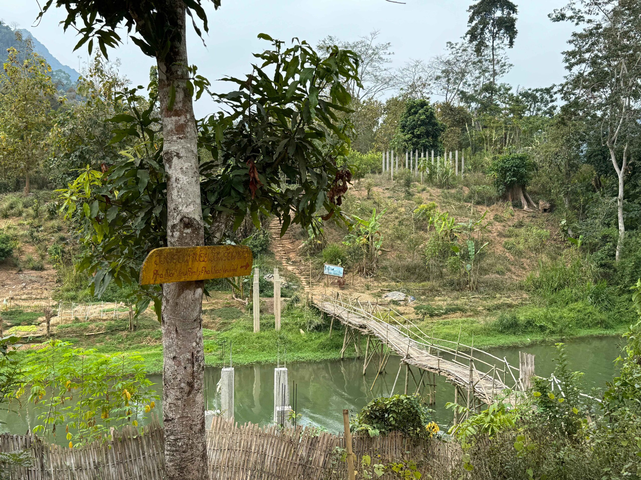 bamboo bridge over a river