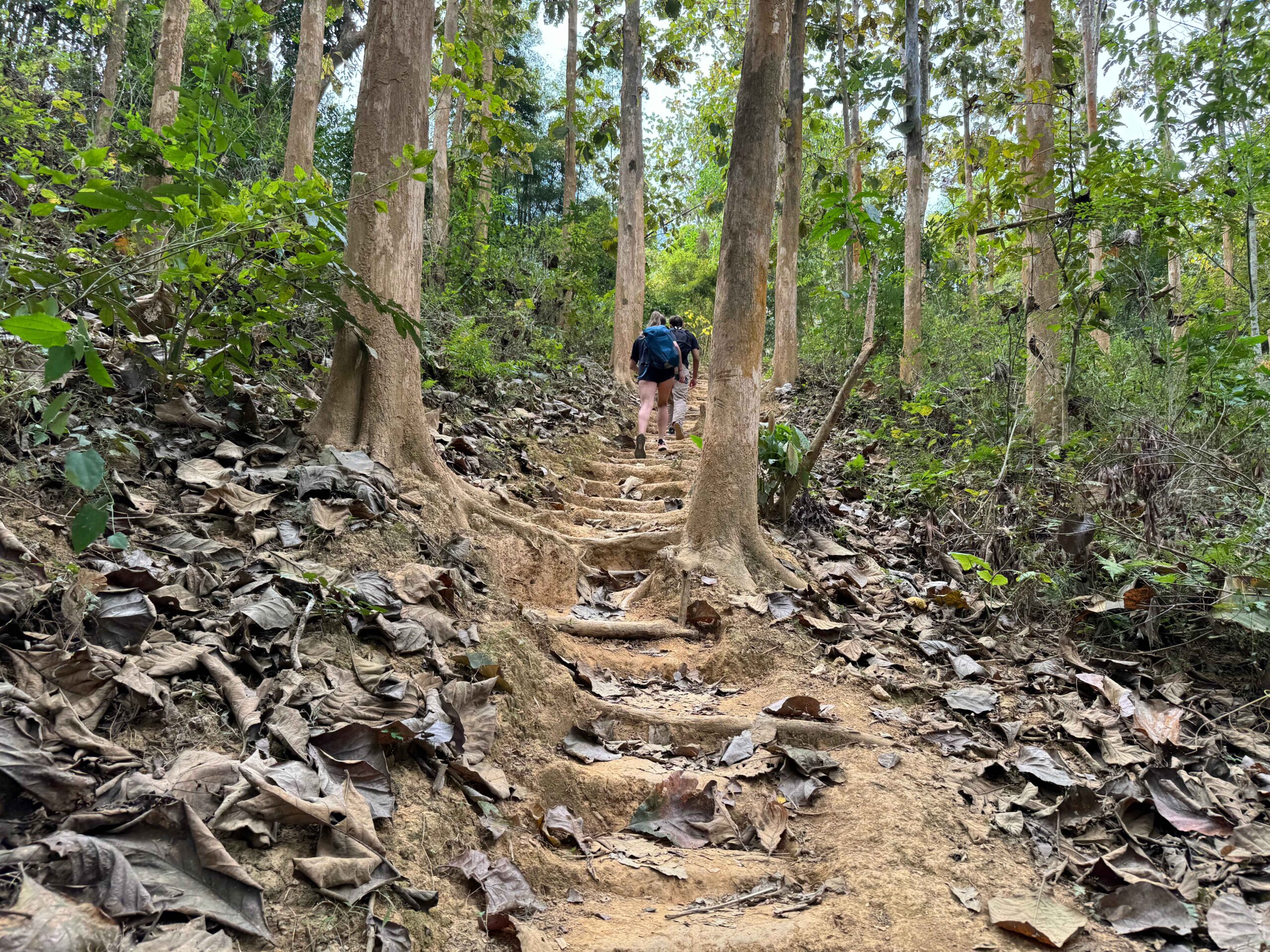 stairs in the forest to the viewpoint in nong khiaw