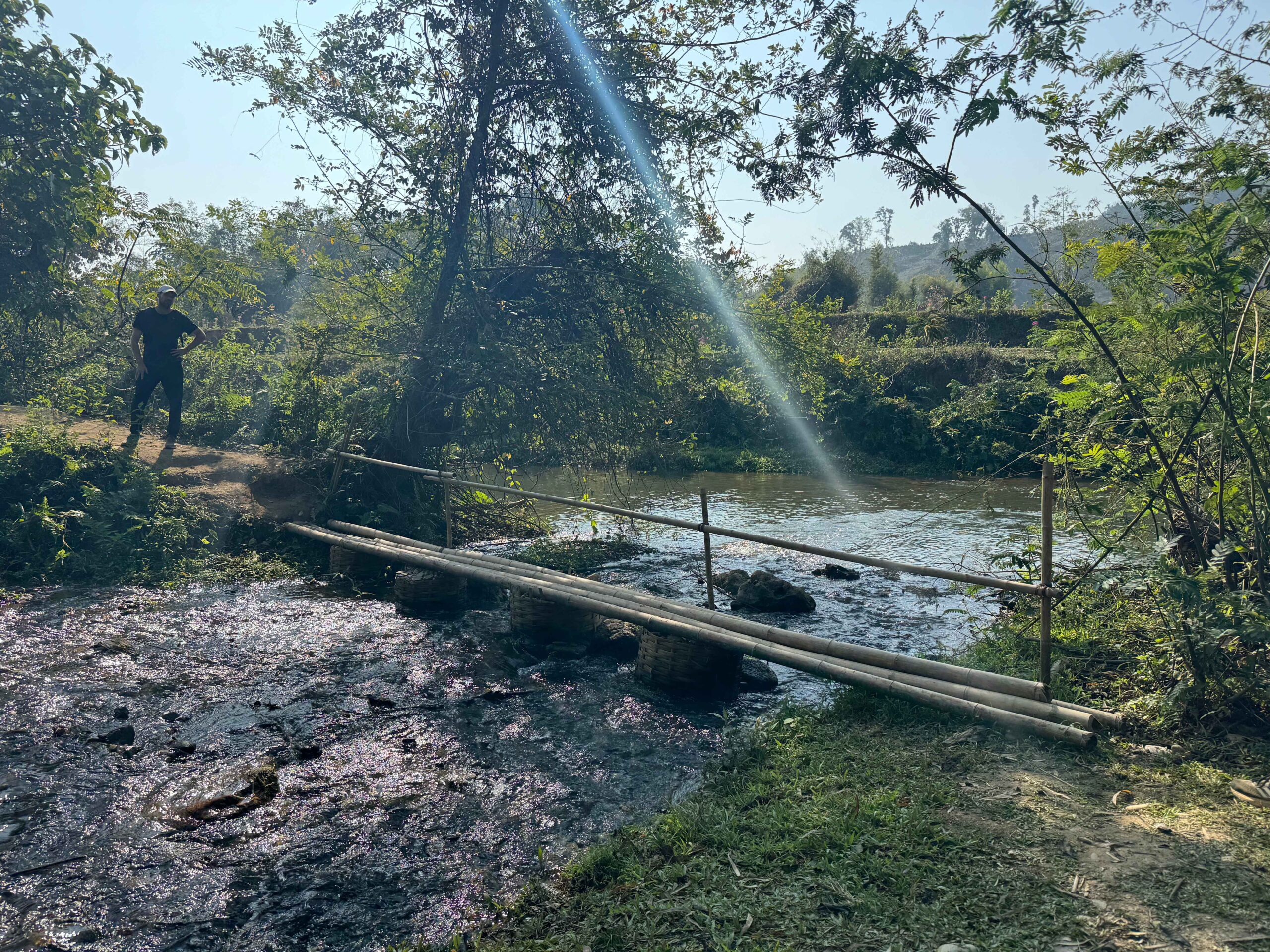 bridge over a river in the forest 