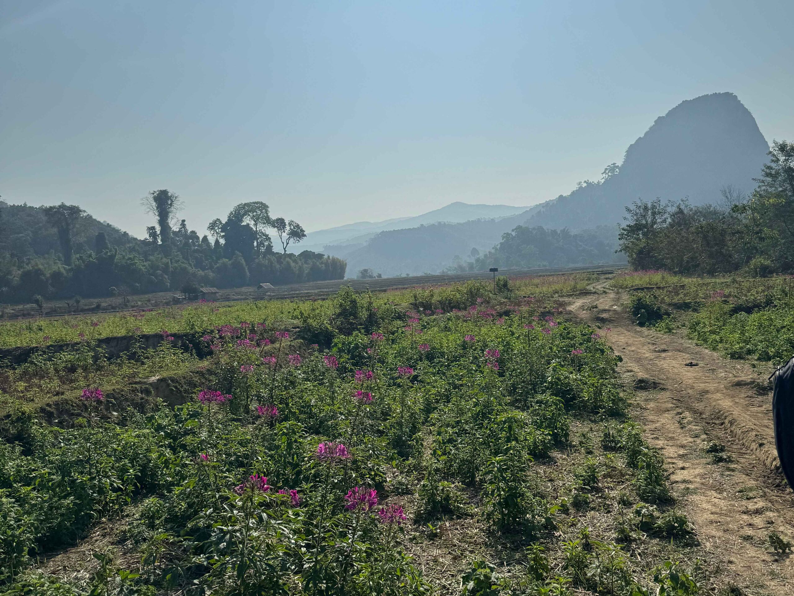 Hike to Ban Na village is one of the Muang Ngoy things to do 