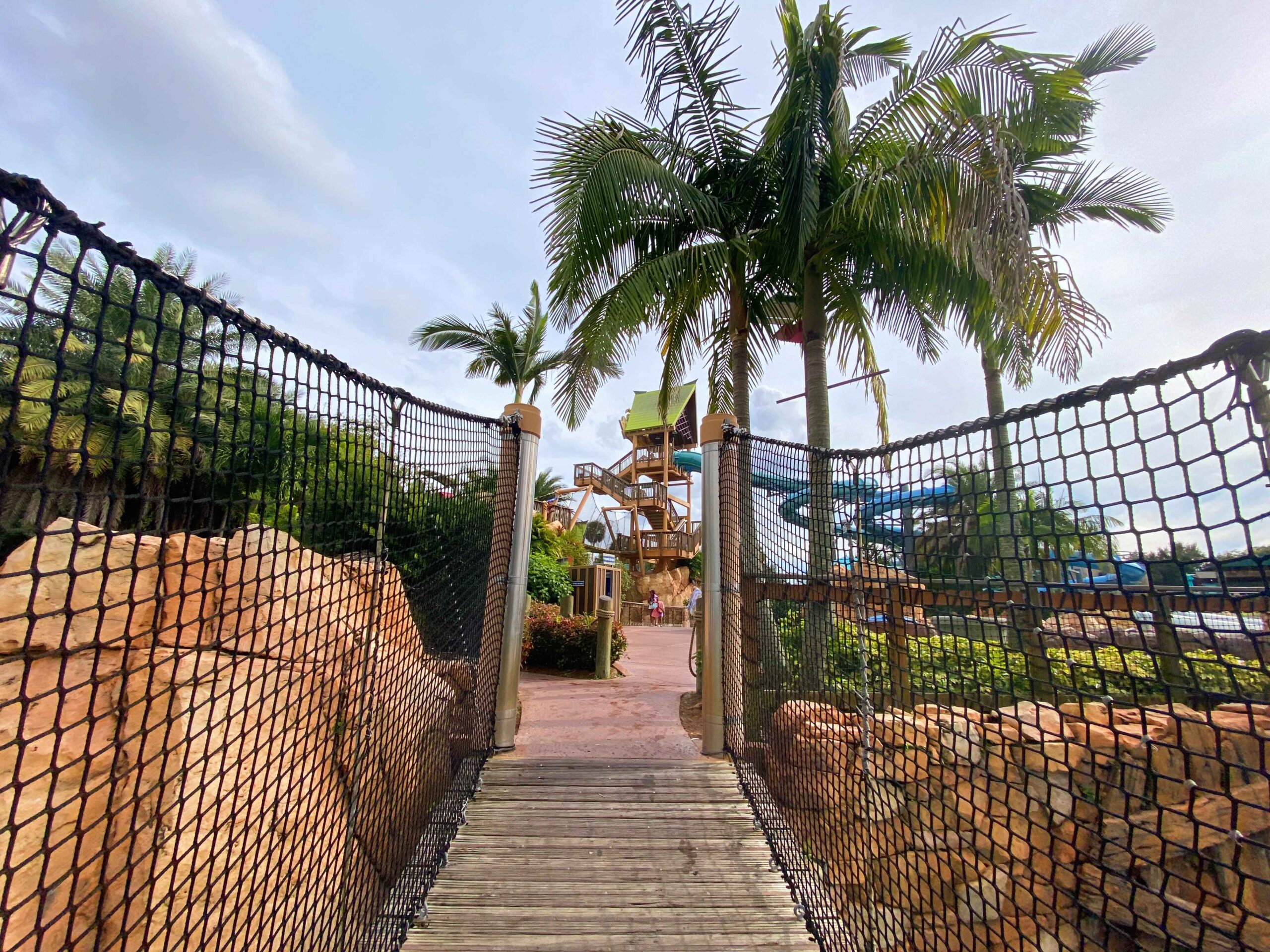 bridge with palm trees