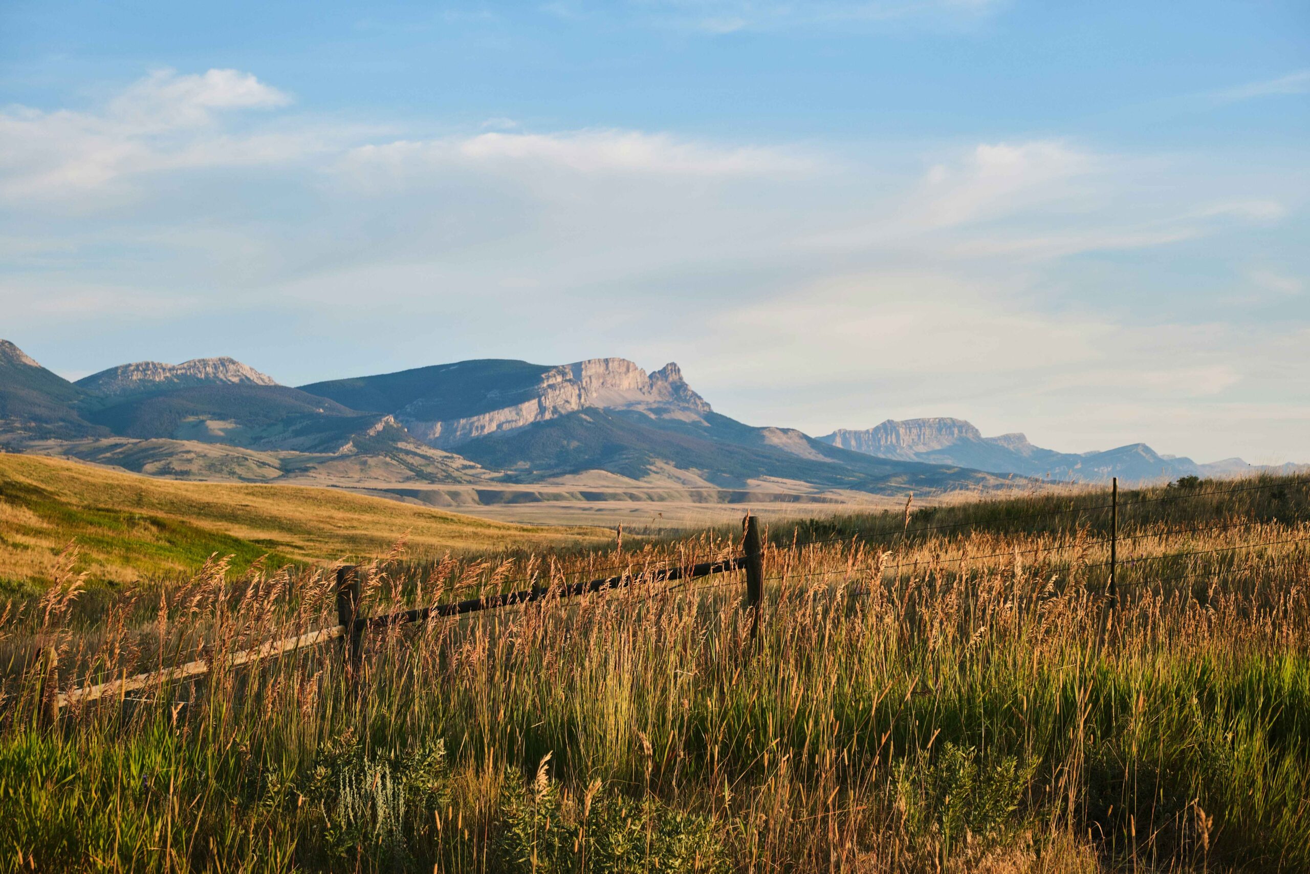 grass field with mountains in the background